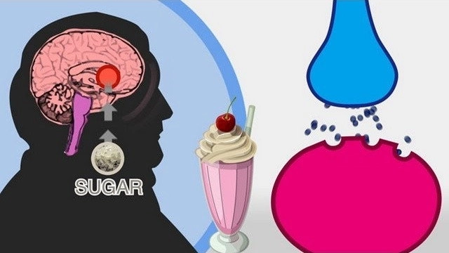 The Skinny on Obesity