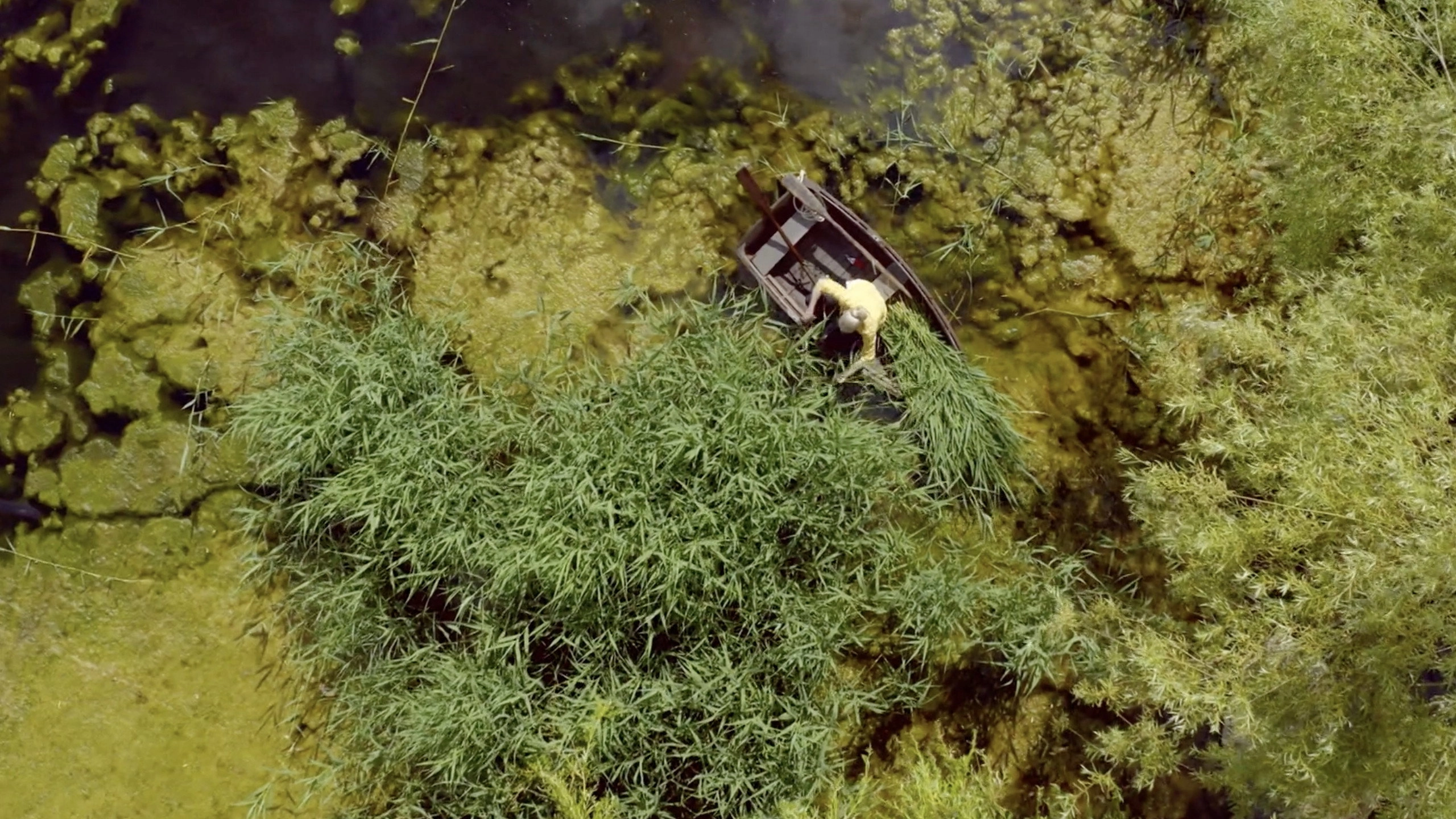 Video-Mata ਏϊਓ