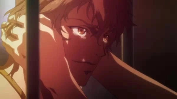 Aoi Bungaku Series