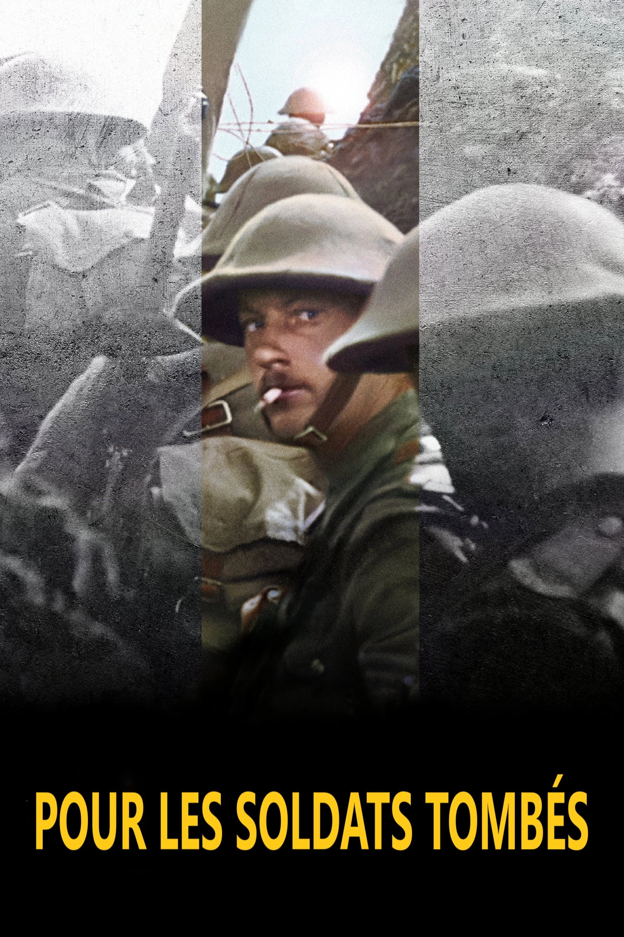 They Shall Not Grow Old
