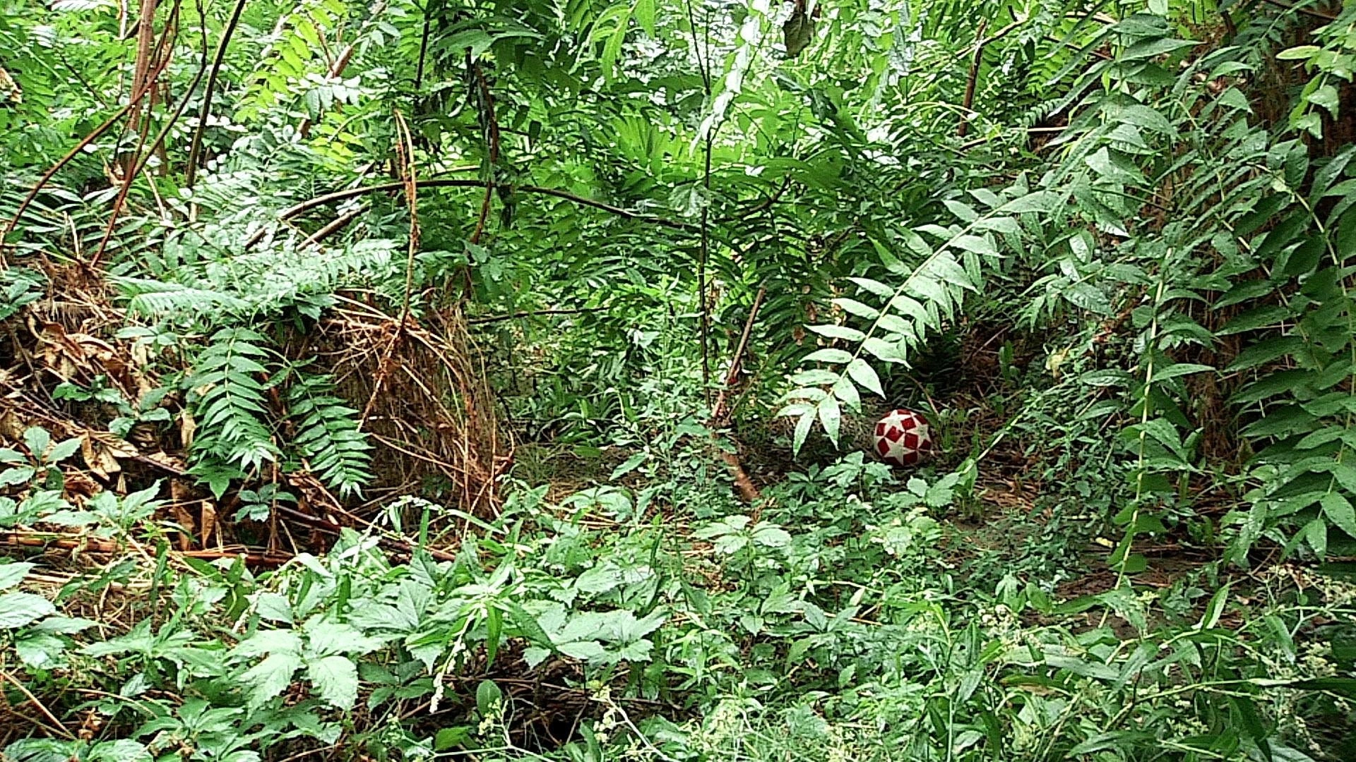 Three Streams