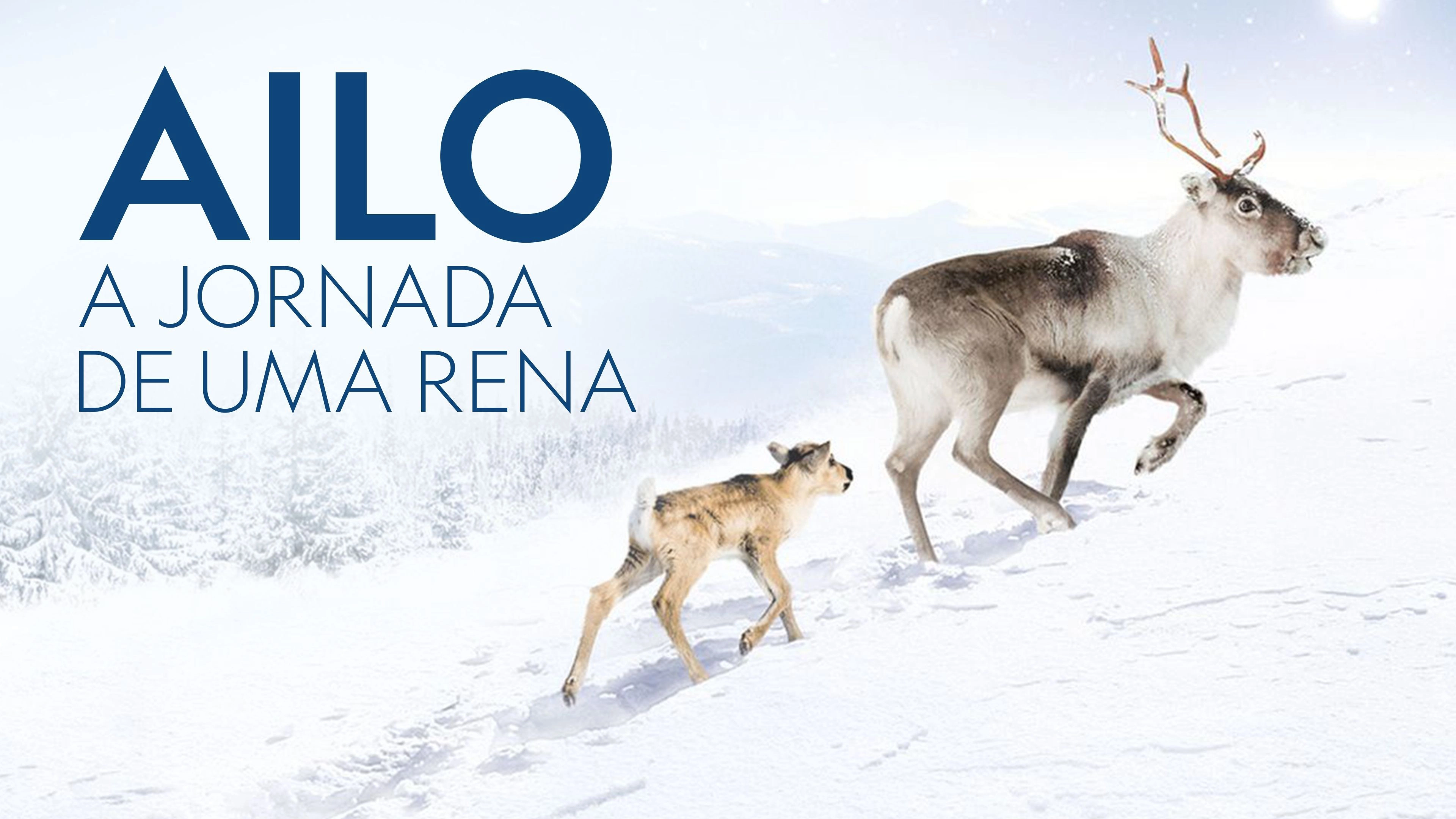 A Reindeer's Journey