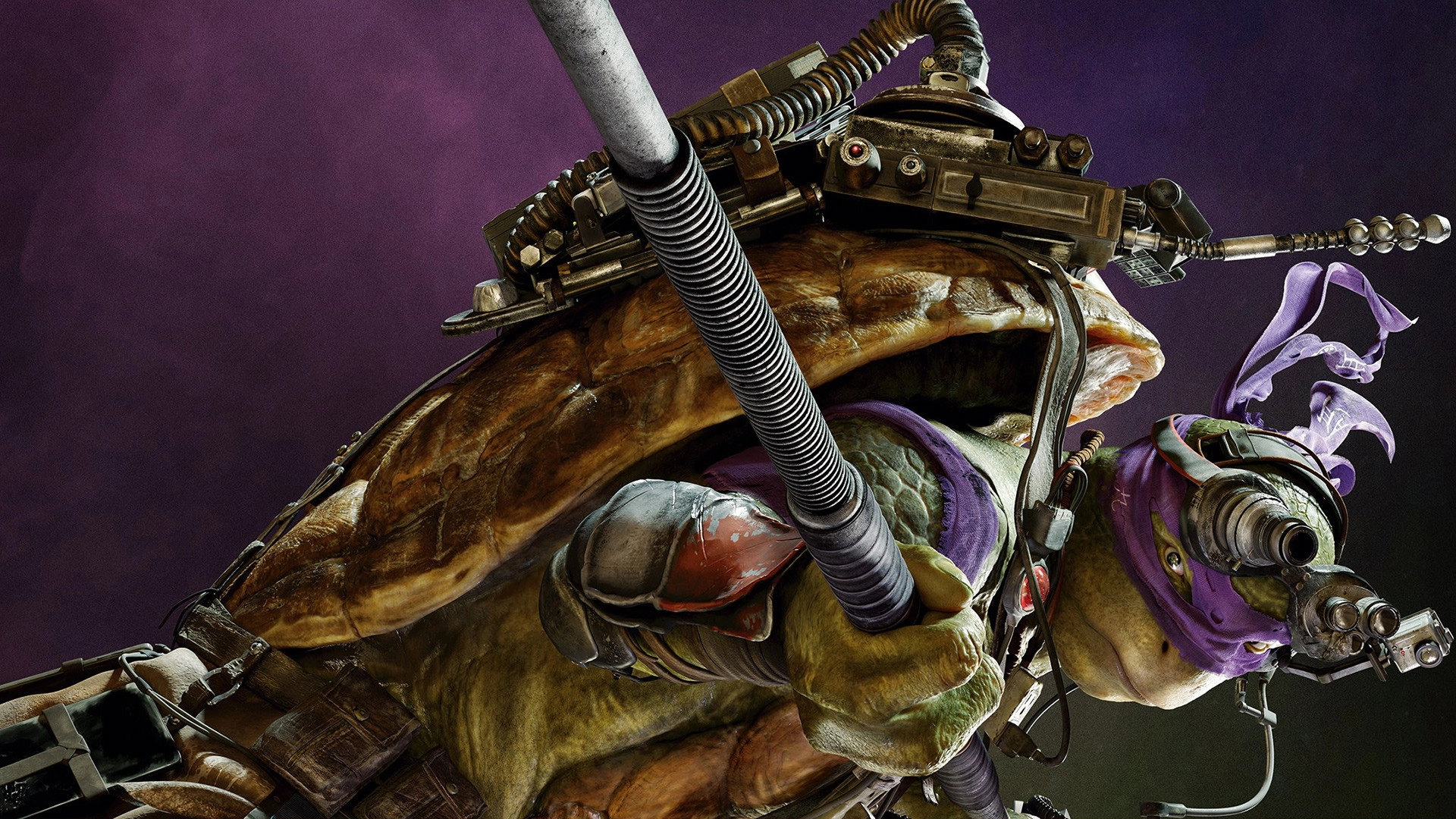 Teenage Mutant Ninja Turtles
