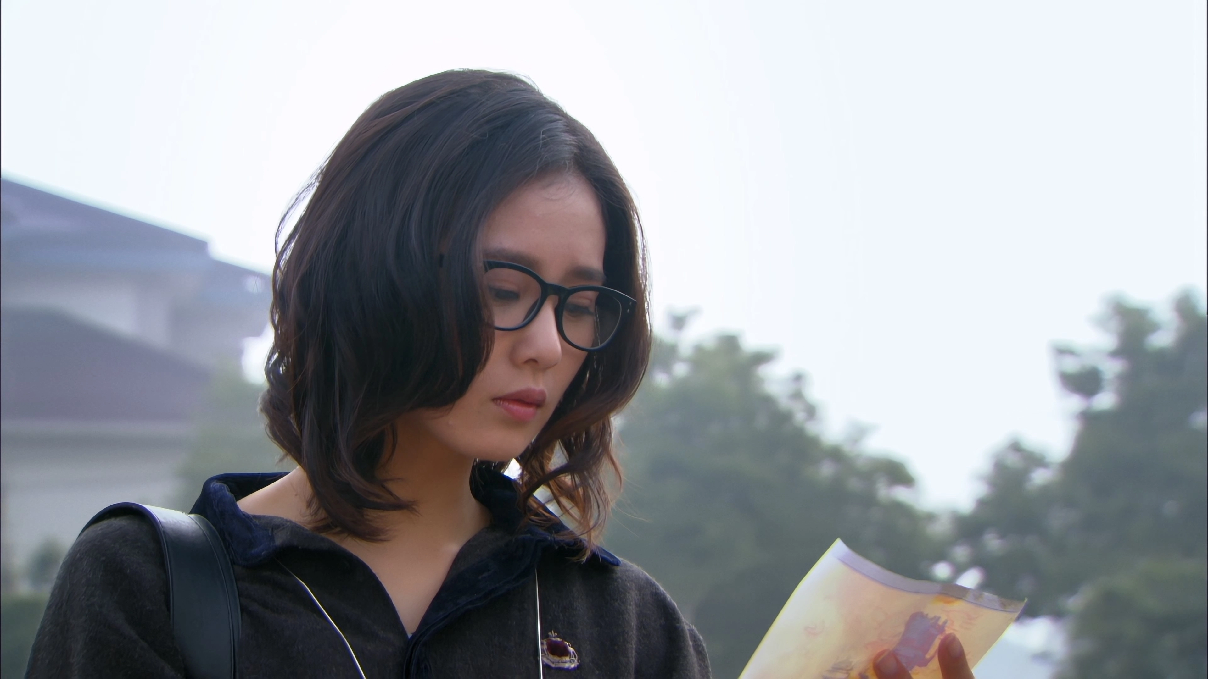 Scarlet Heart