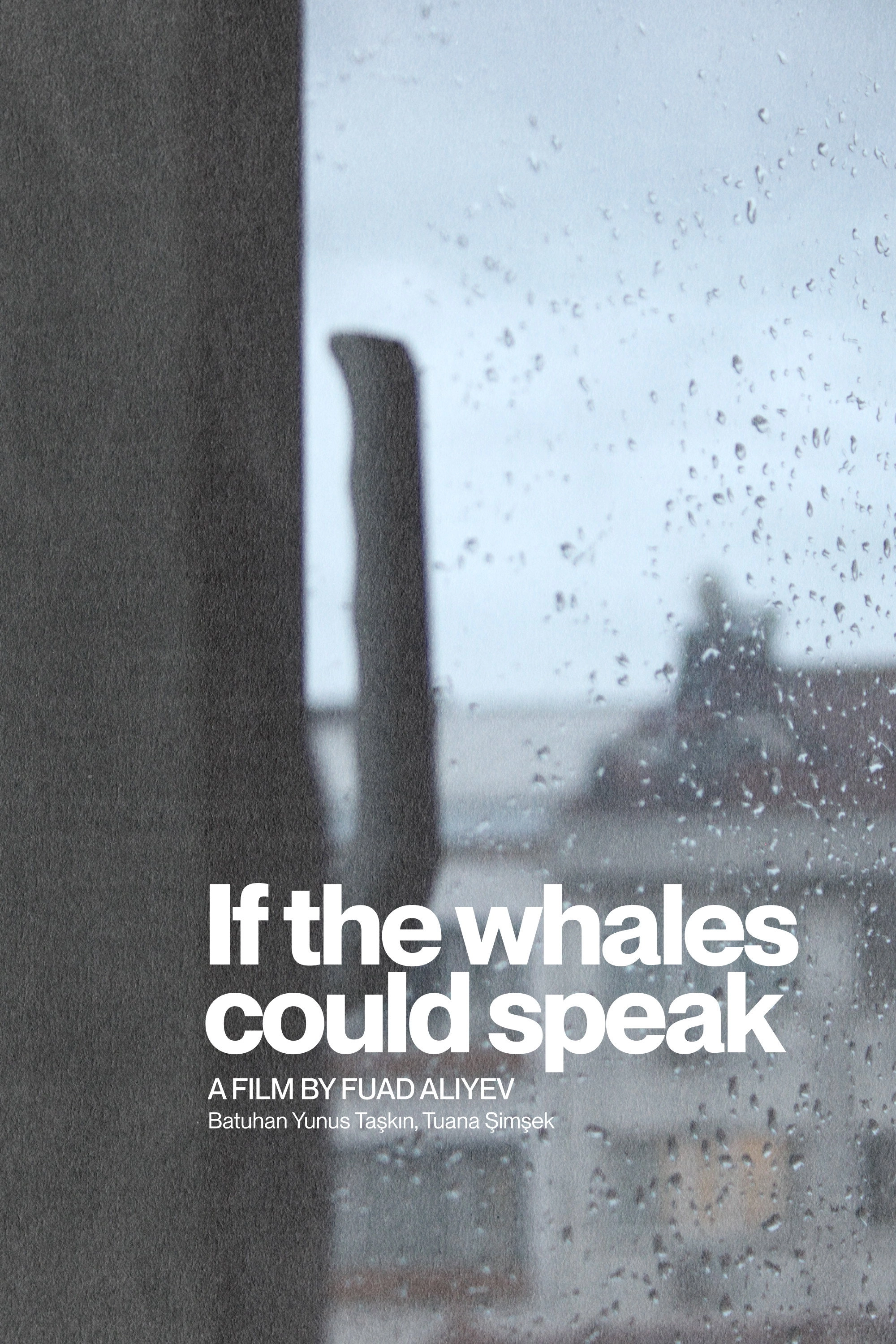 If The Whales Could Speak