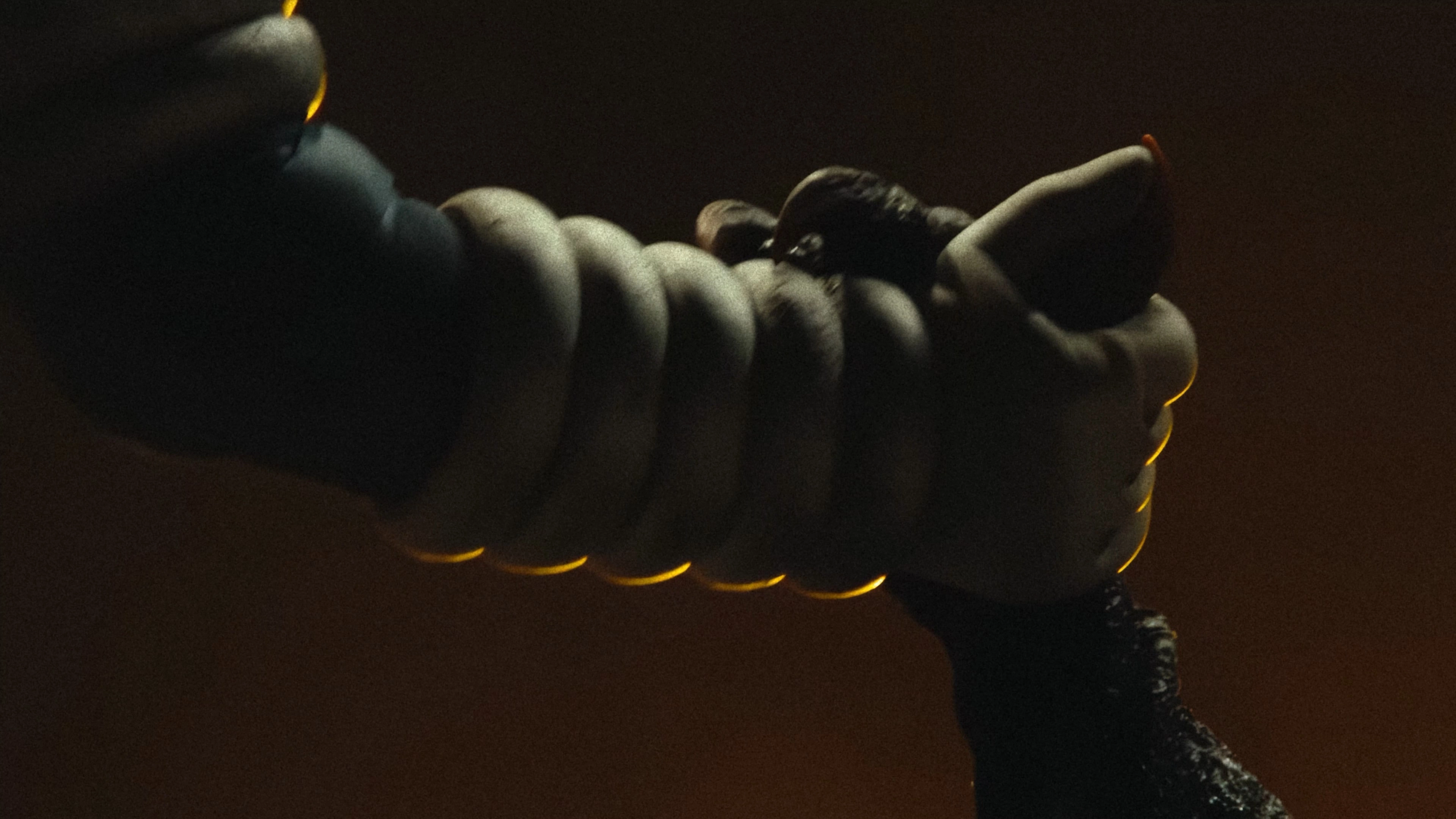 Godzilla Fest 4: Operation Jet Jaguar