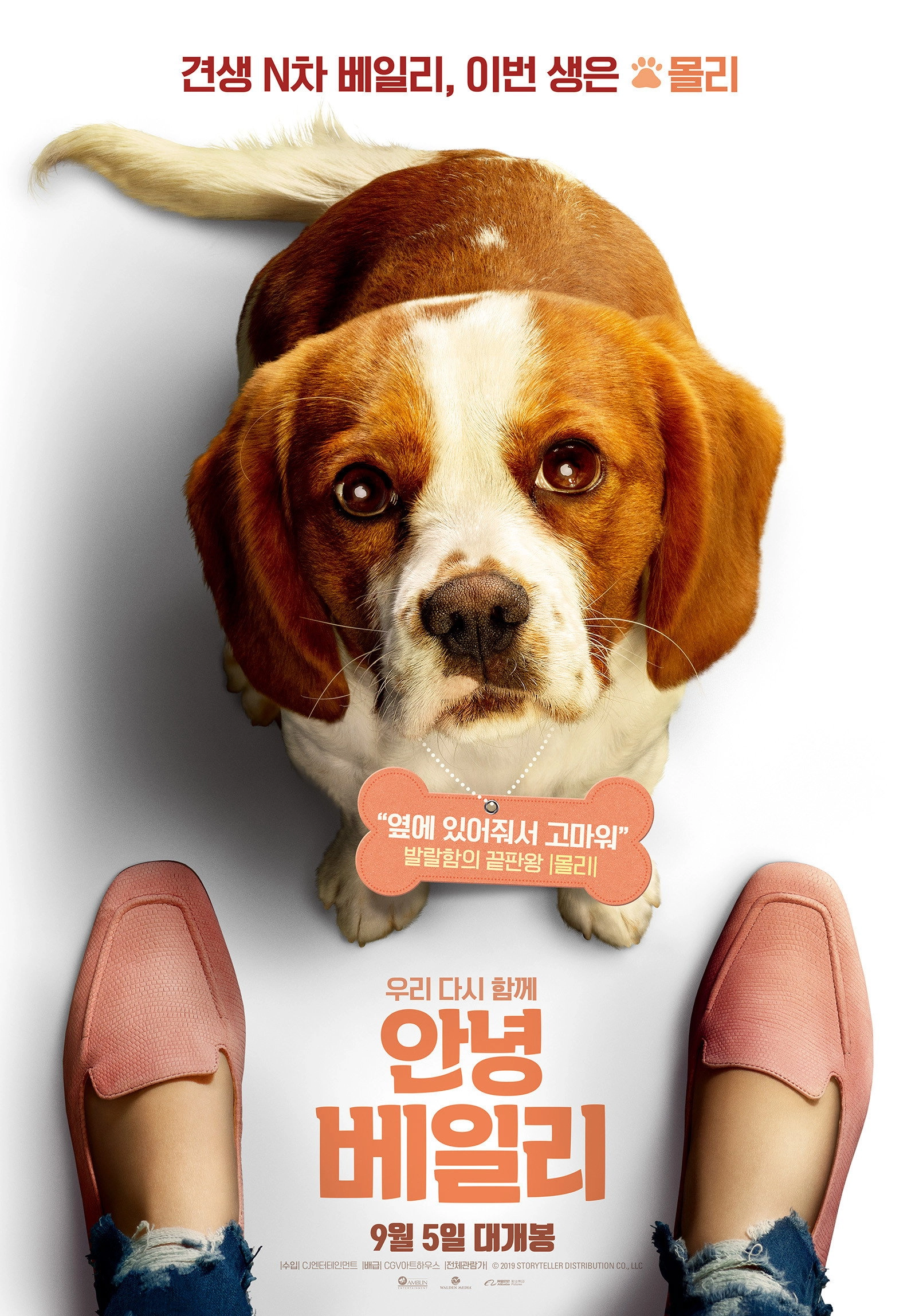 A Dog's Journey