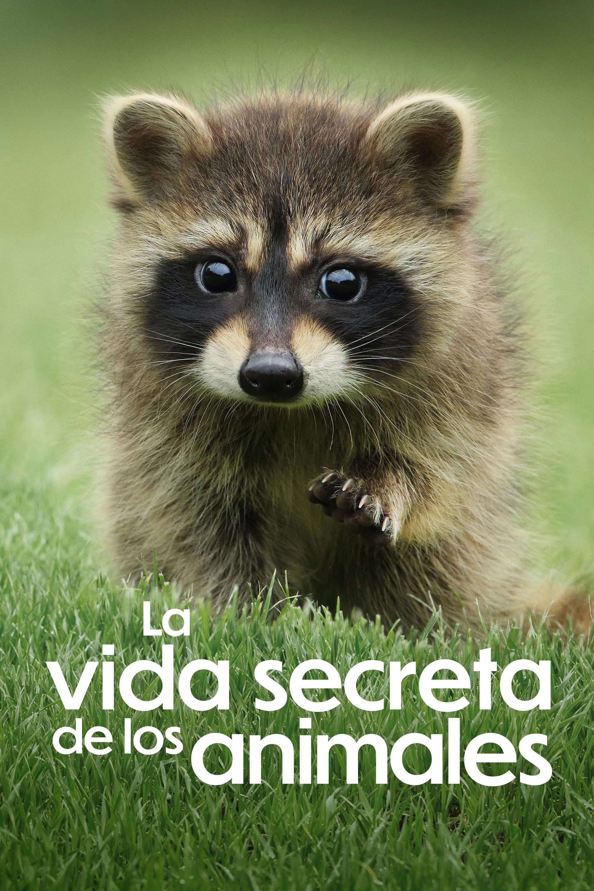 The Secret Lives of Animals