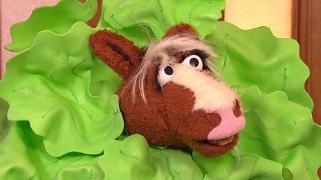 The Furchester Hotel