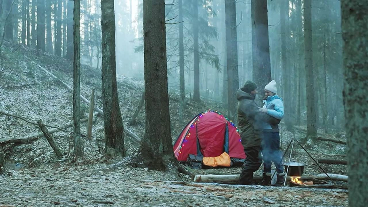 Закон тайги
