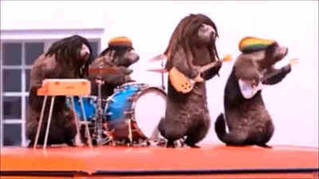 Les Marmottes