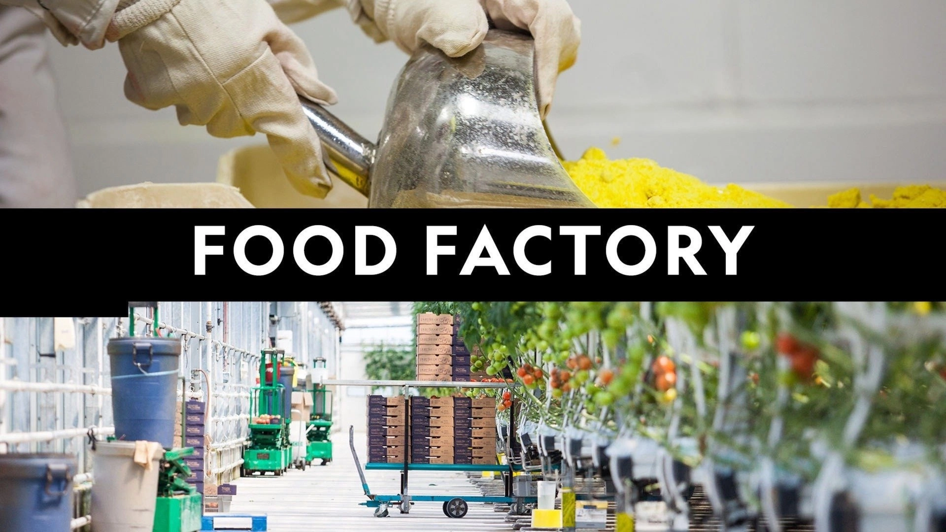 Food Factory