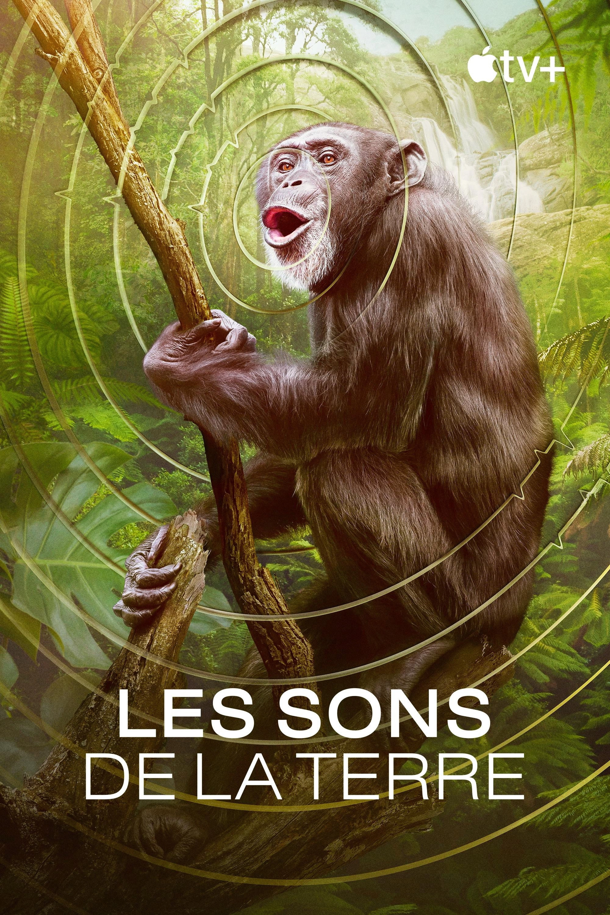 Earthsounds