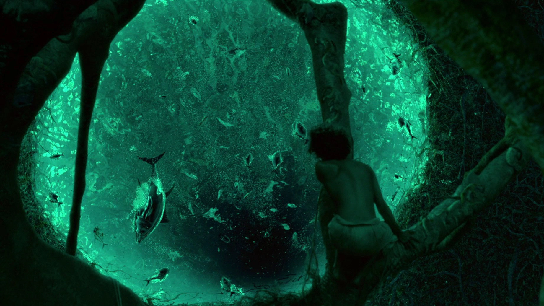 Life of Pi