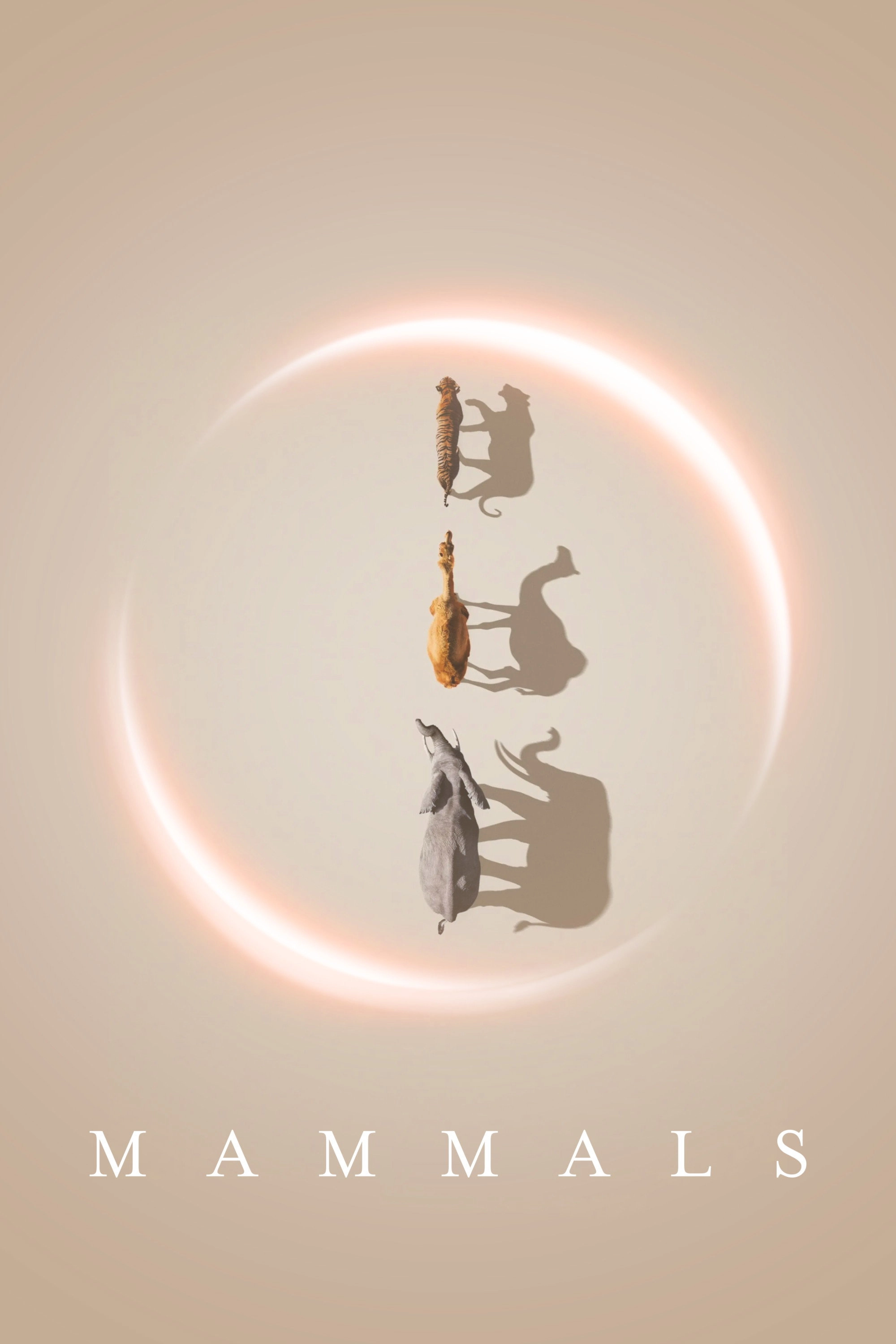 Mammals