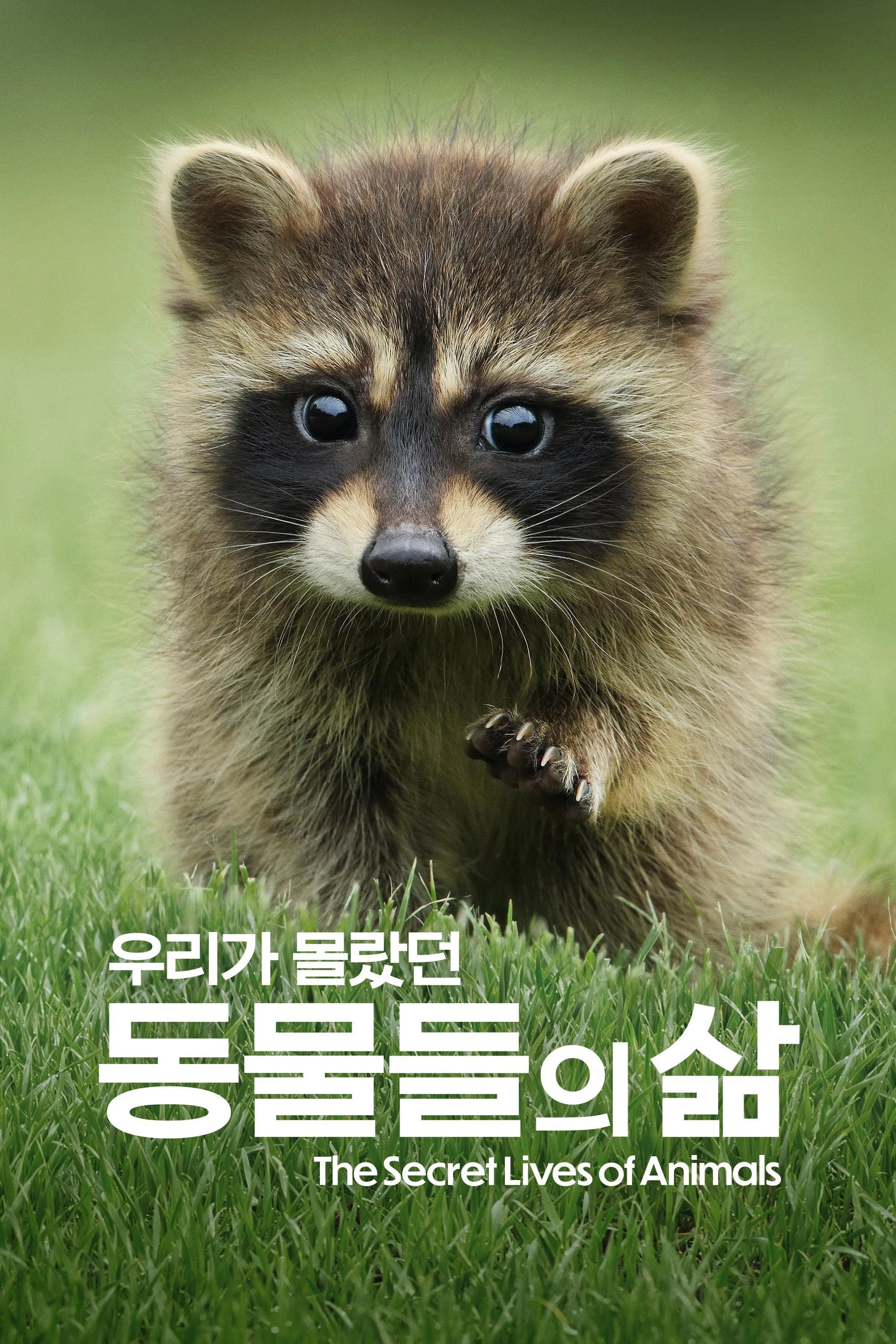 The Secret Lives of Animals