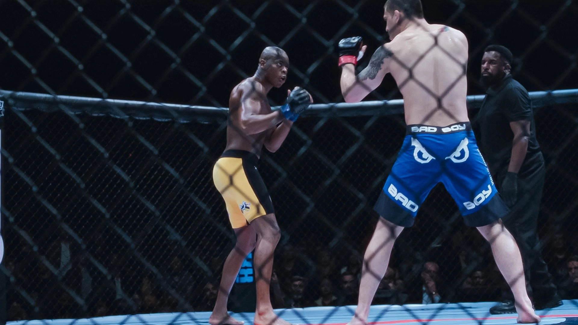 Anderson Spider Silva