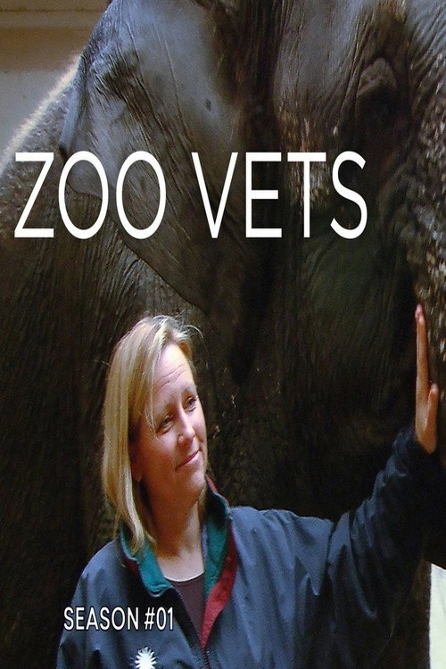 Zoo Vets