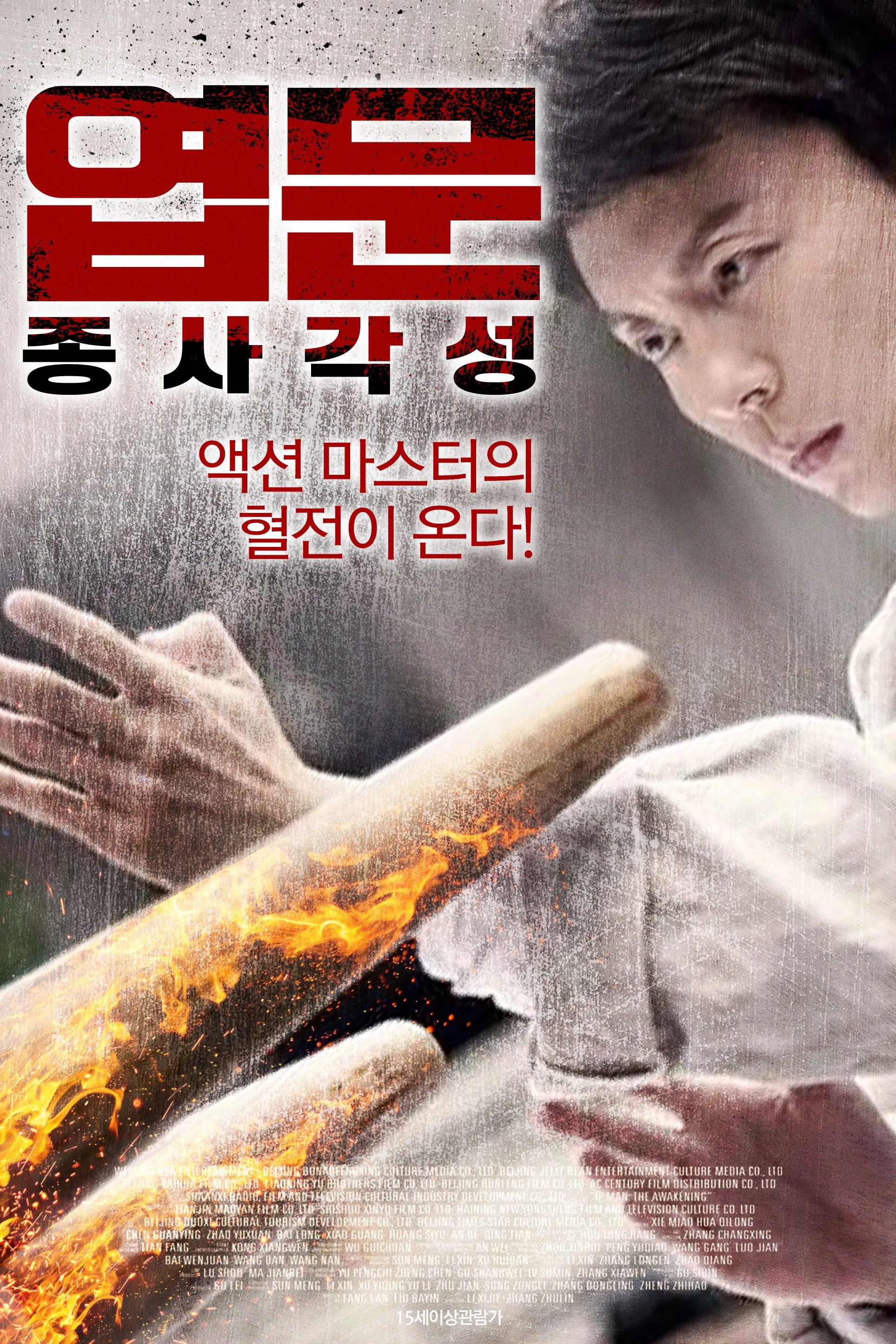 Ip Man: The Awakening