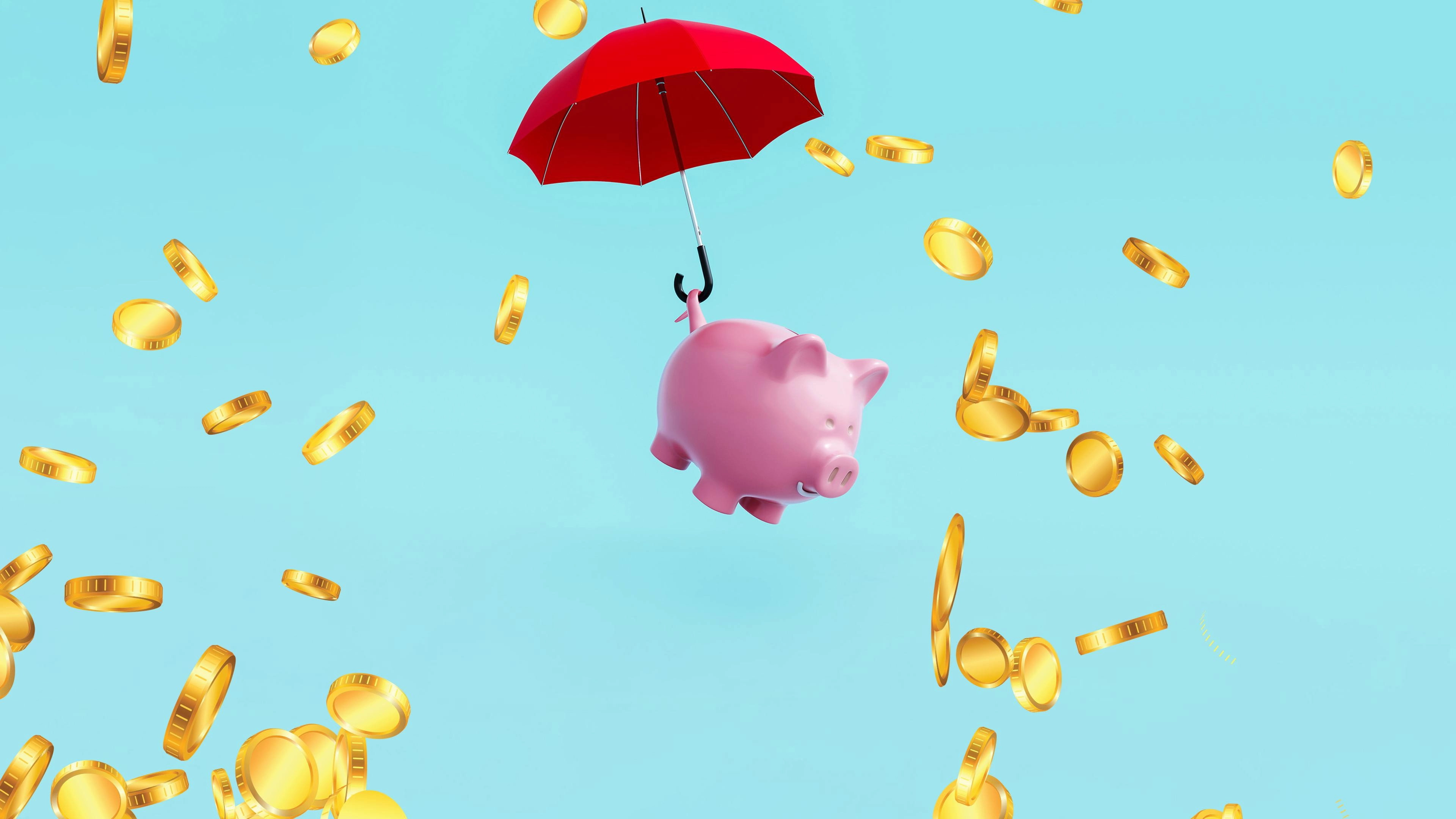 Extreme Cheapskates