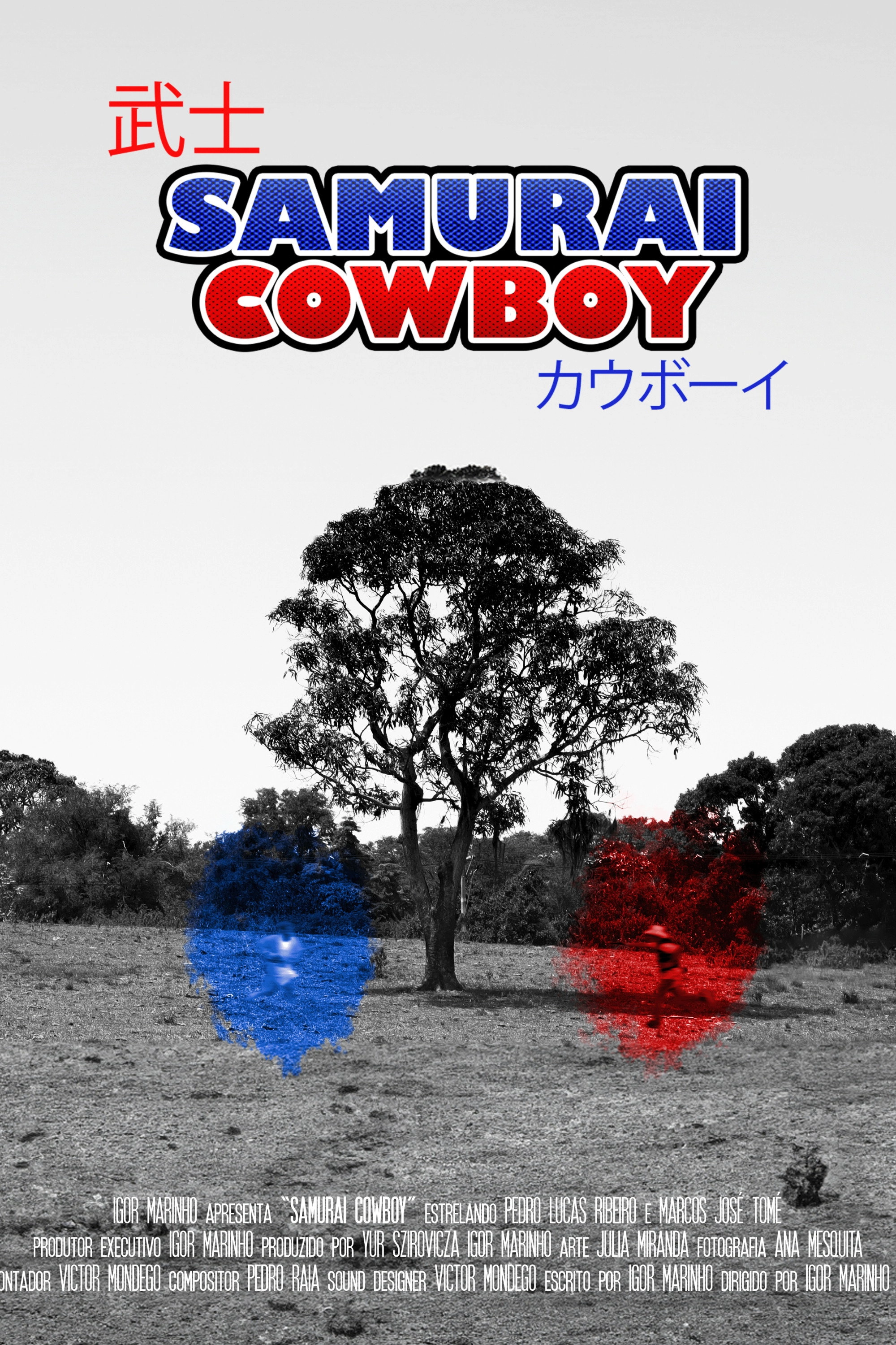 Samurai Cowboy