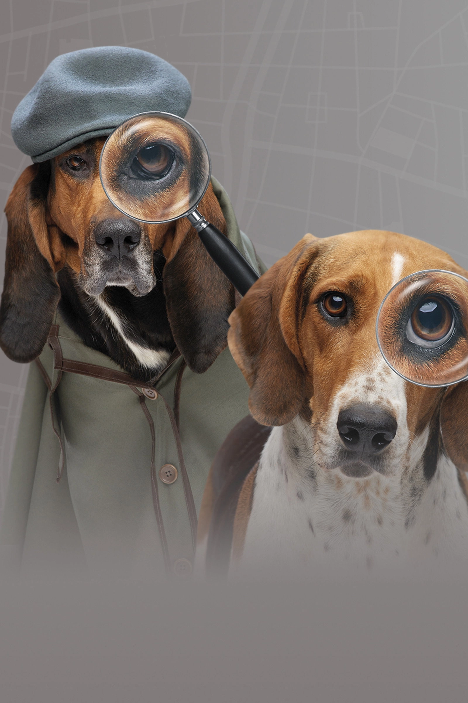 Pet Seekers