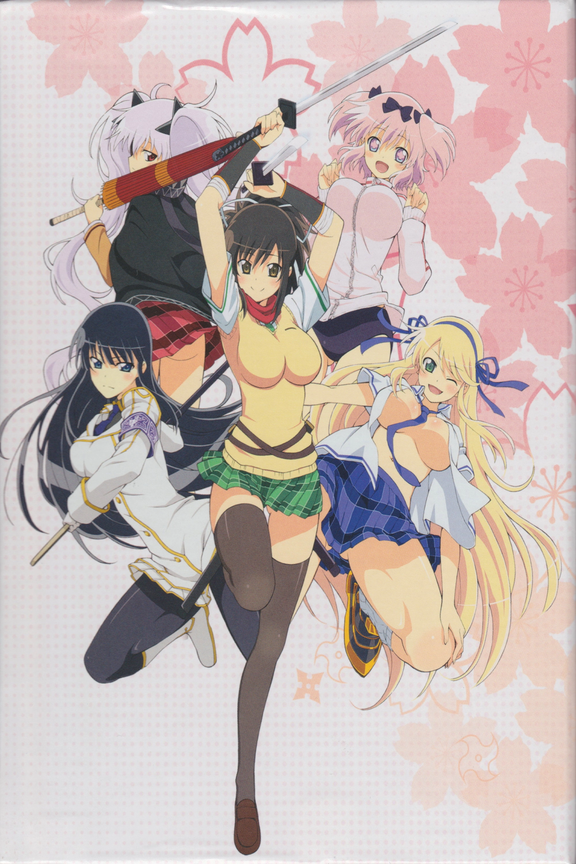 Senran Kagura: Ninja Flash