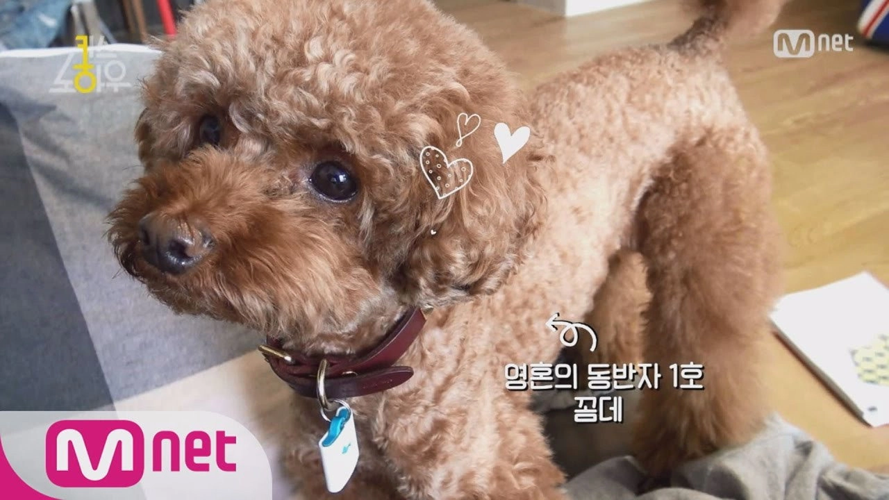 Key's Knowhow
