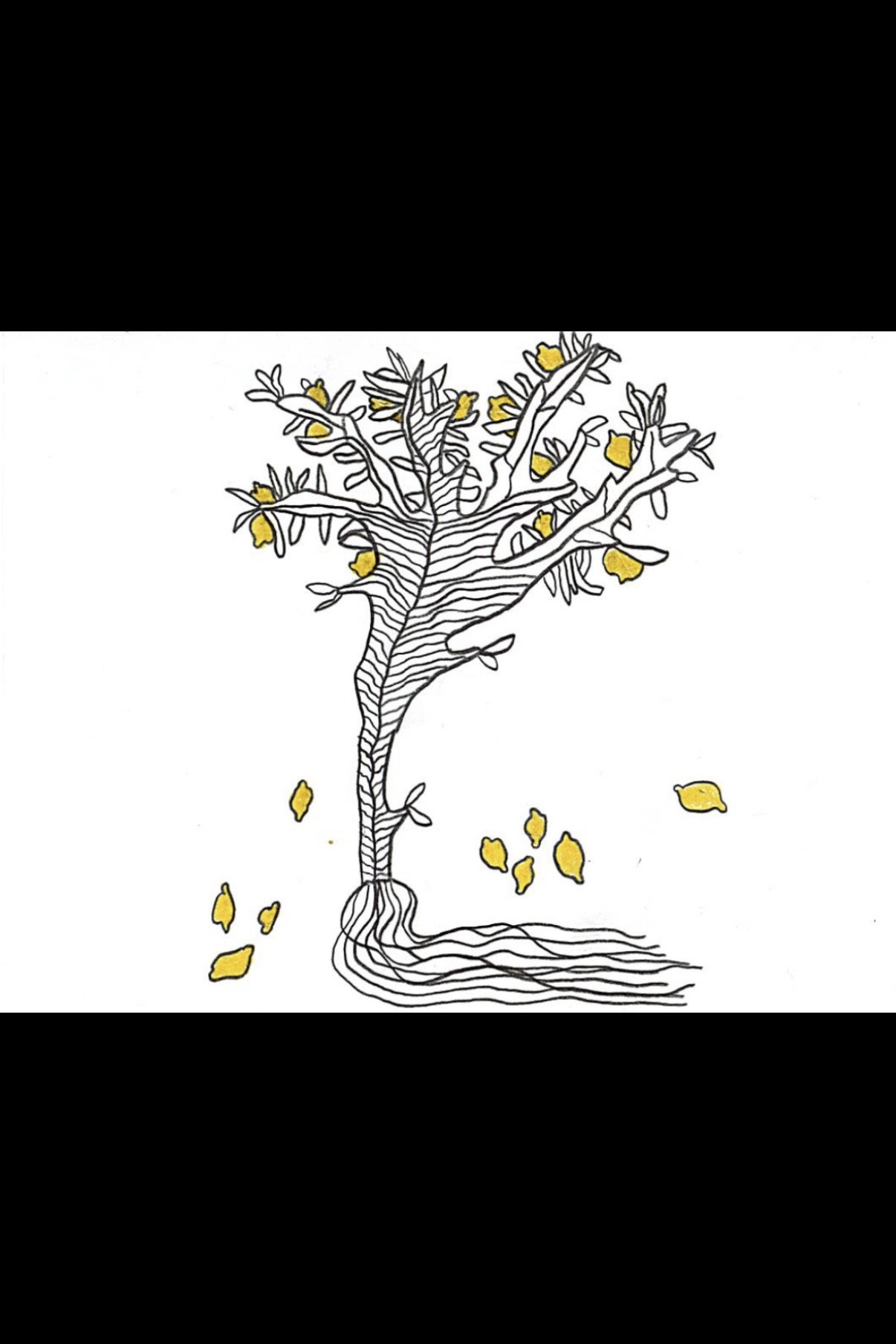 Limbo of Roots