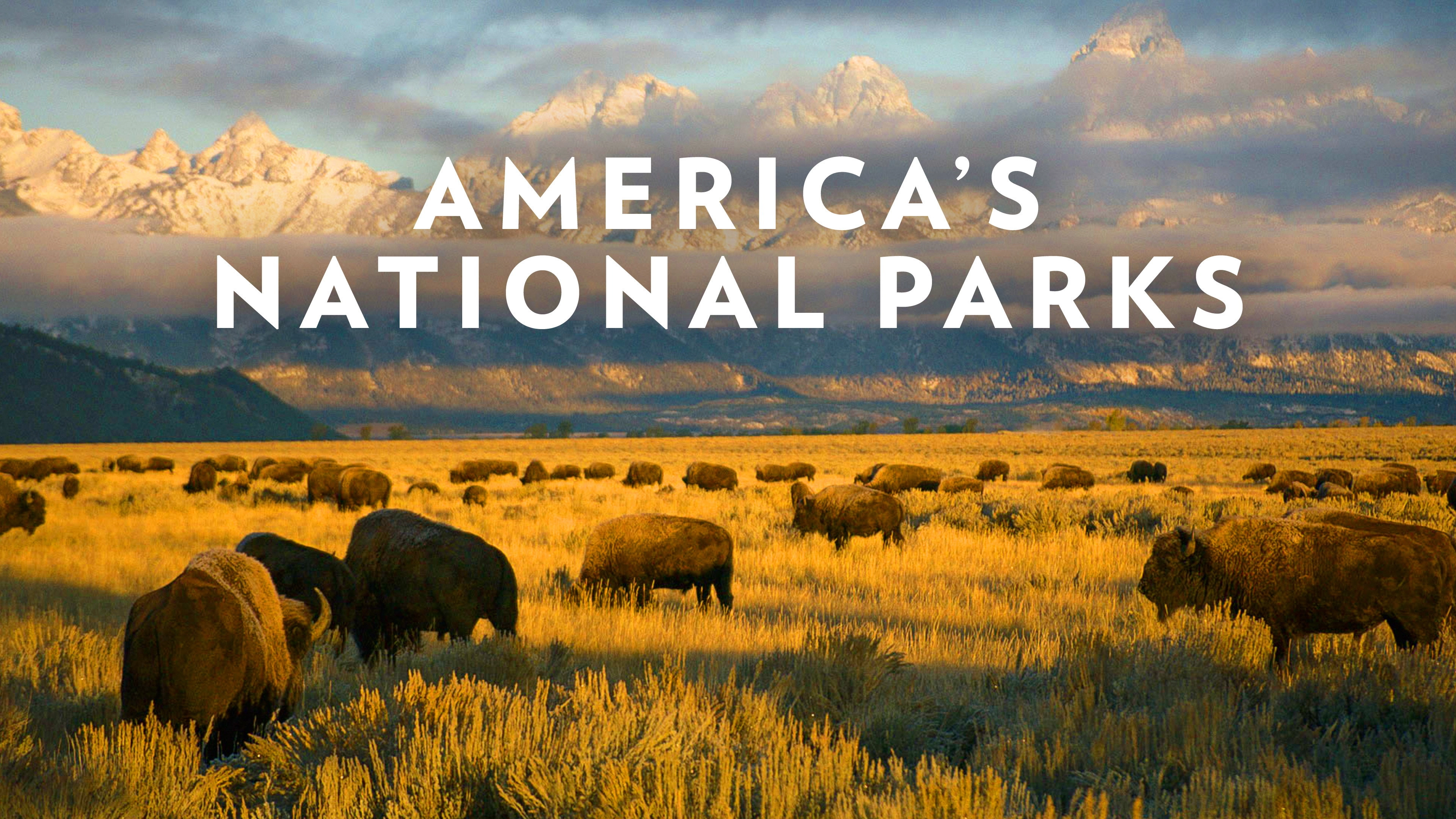 America's National Parks