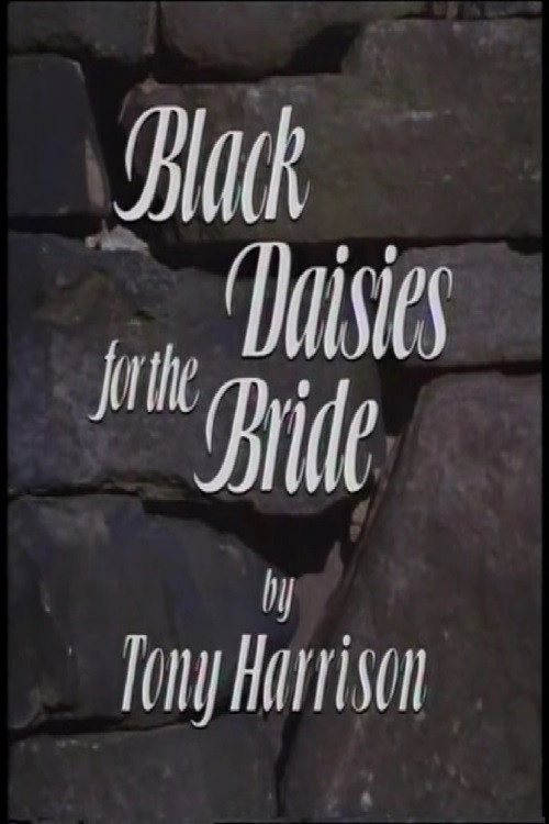 Black Daisies For The Bride