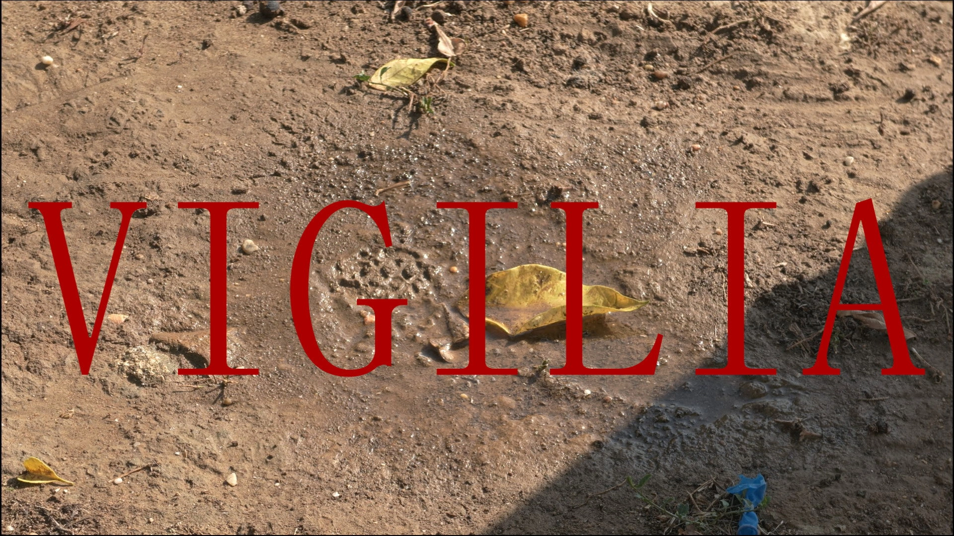 VIGILIA