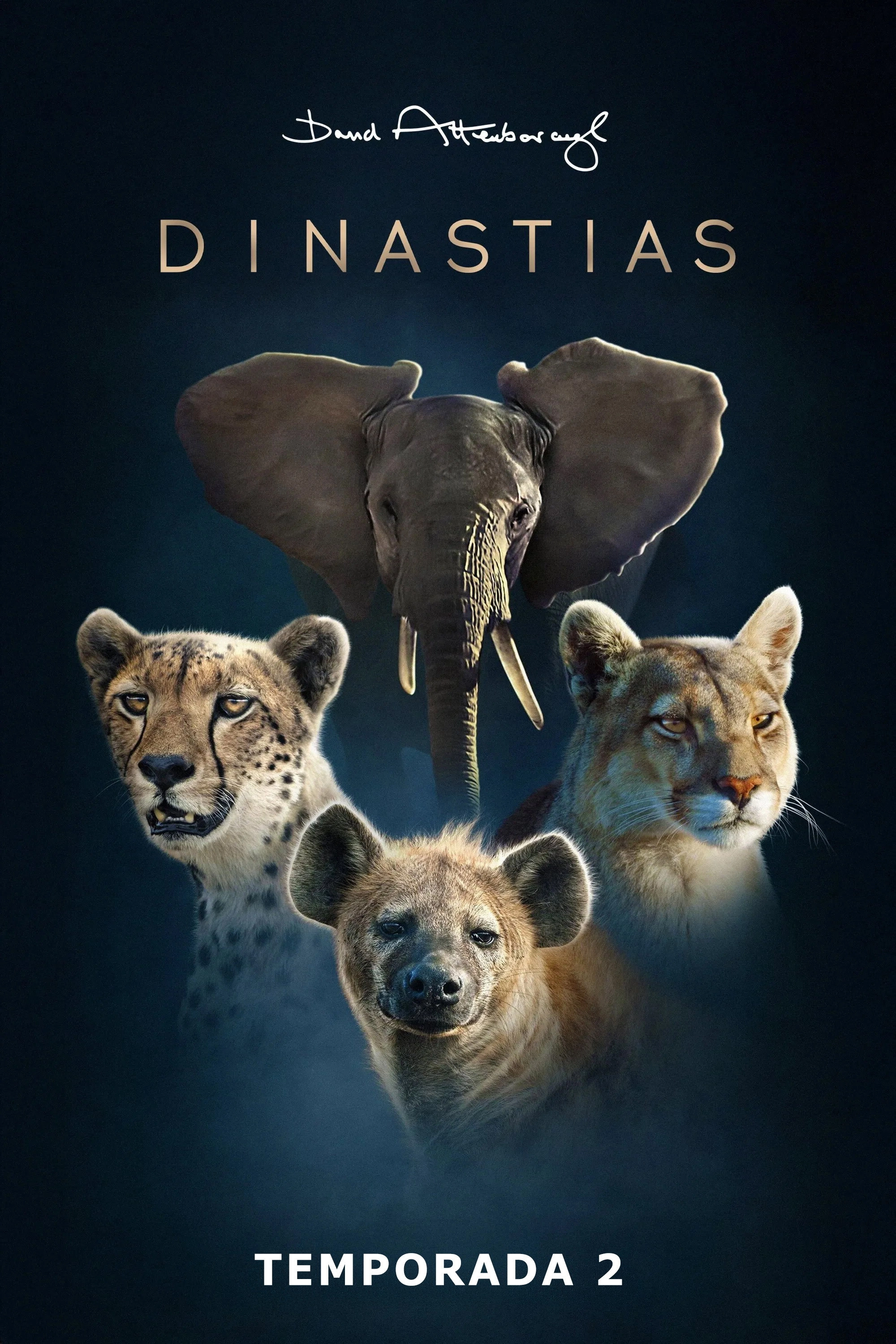 Dynasties