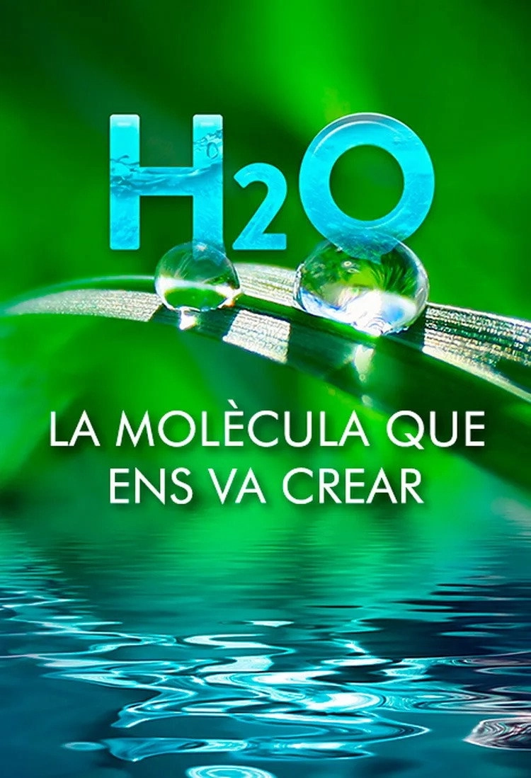H2O: The Molecule that Made Us