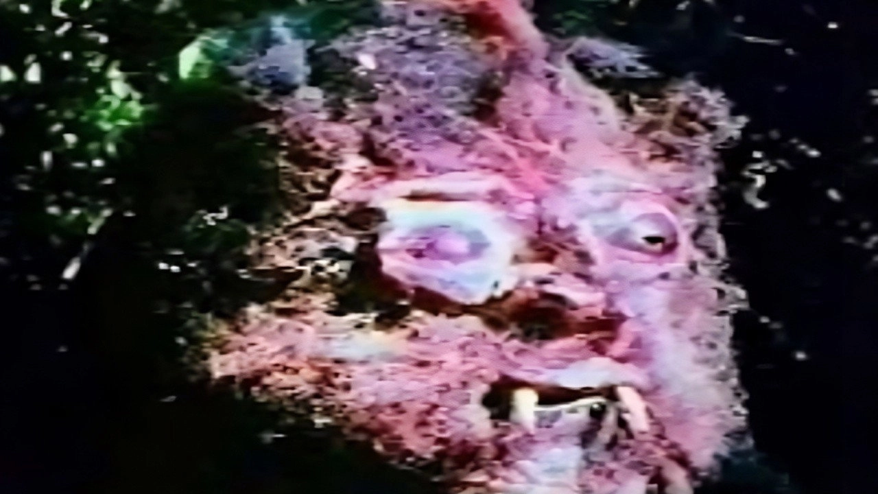 Curse of Bigfoot