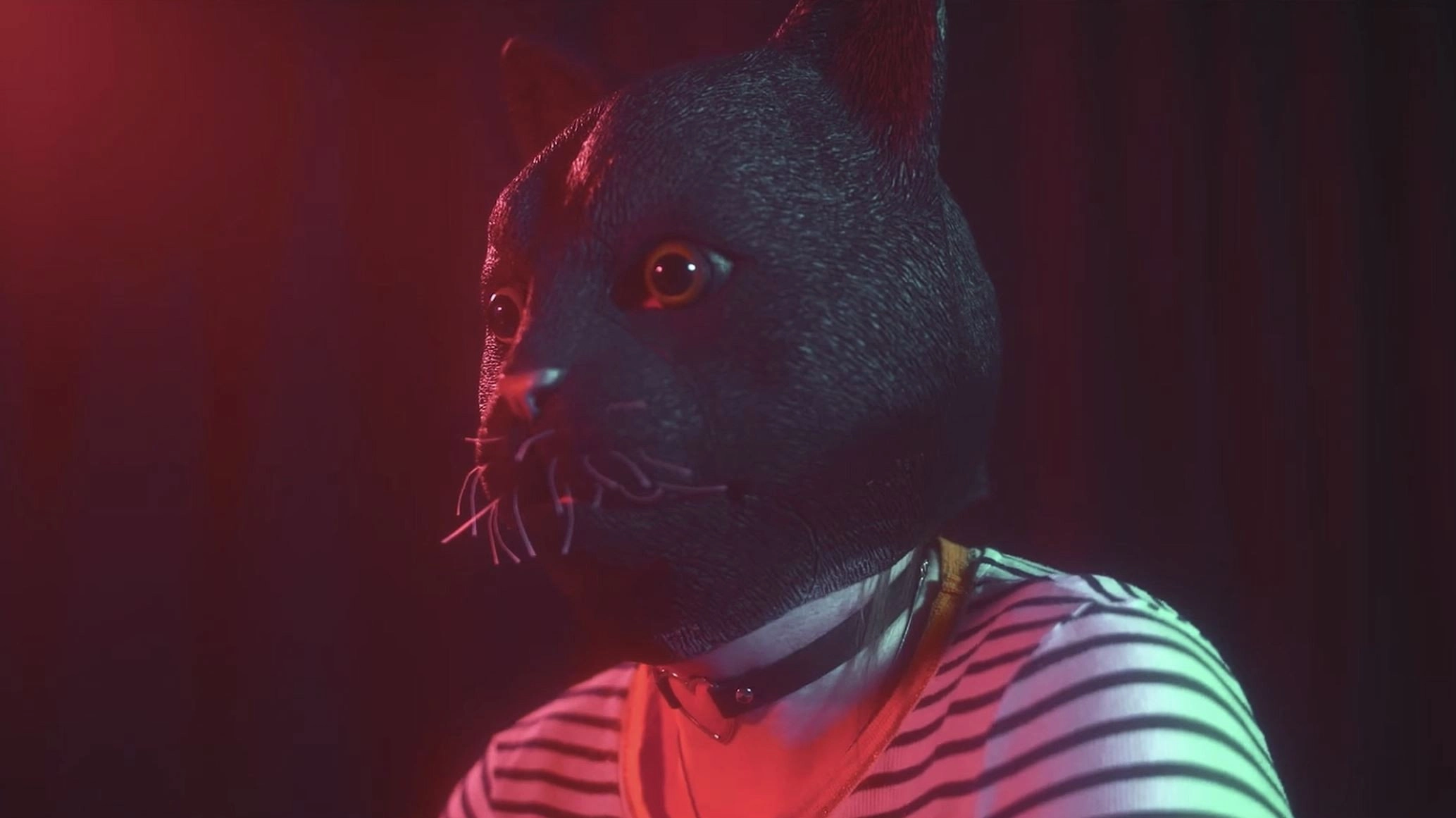 Cat Face