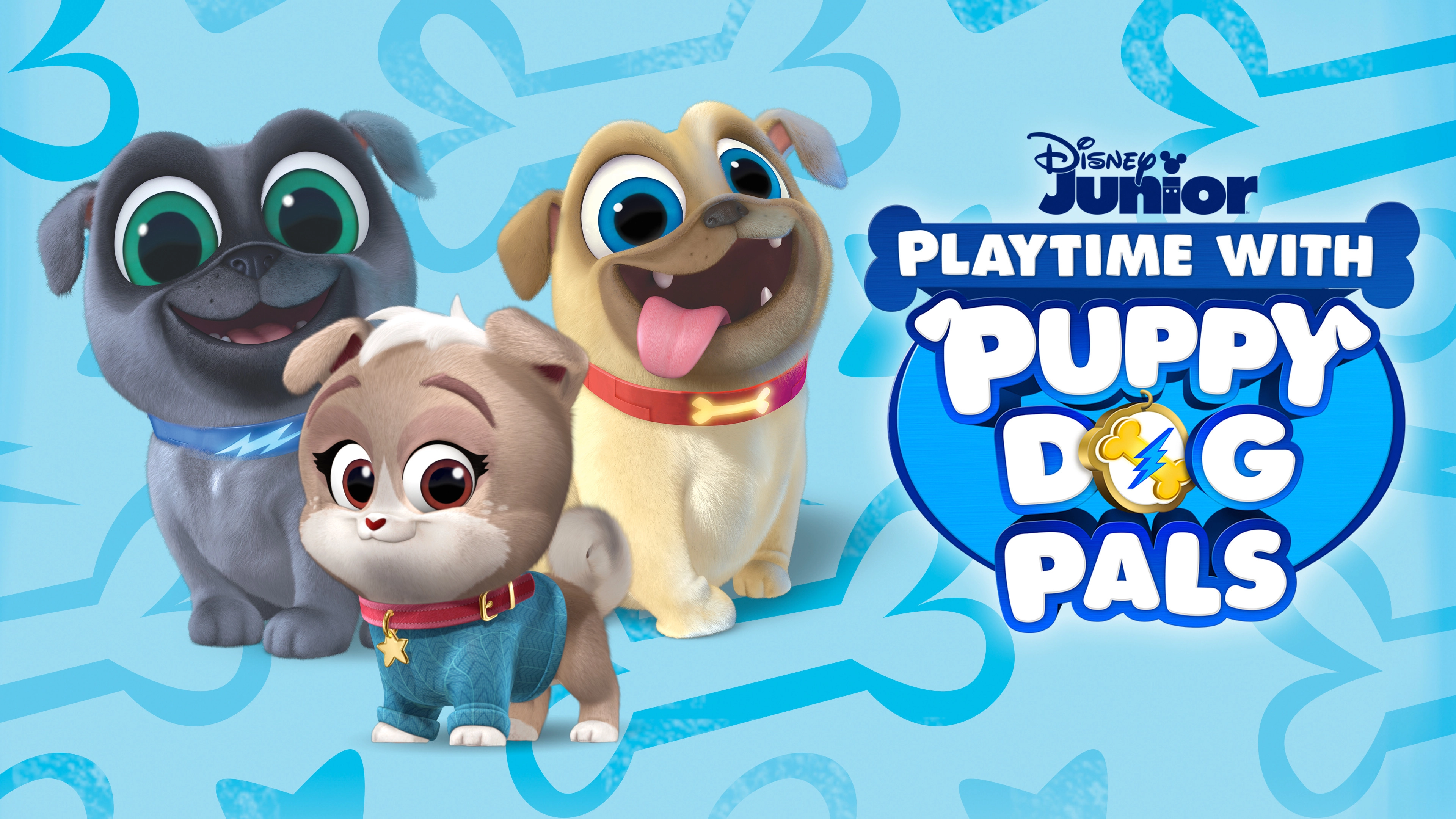 Playtime with Puppy Dog Pals
