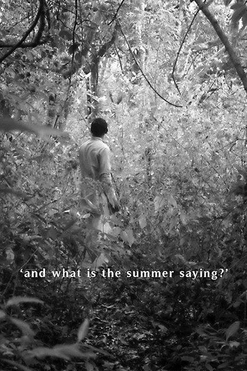 And What Is the Summer Saying?
