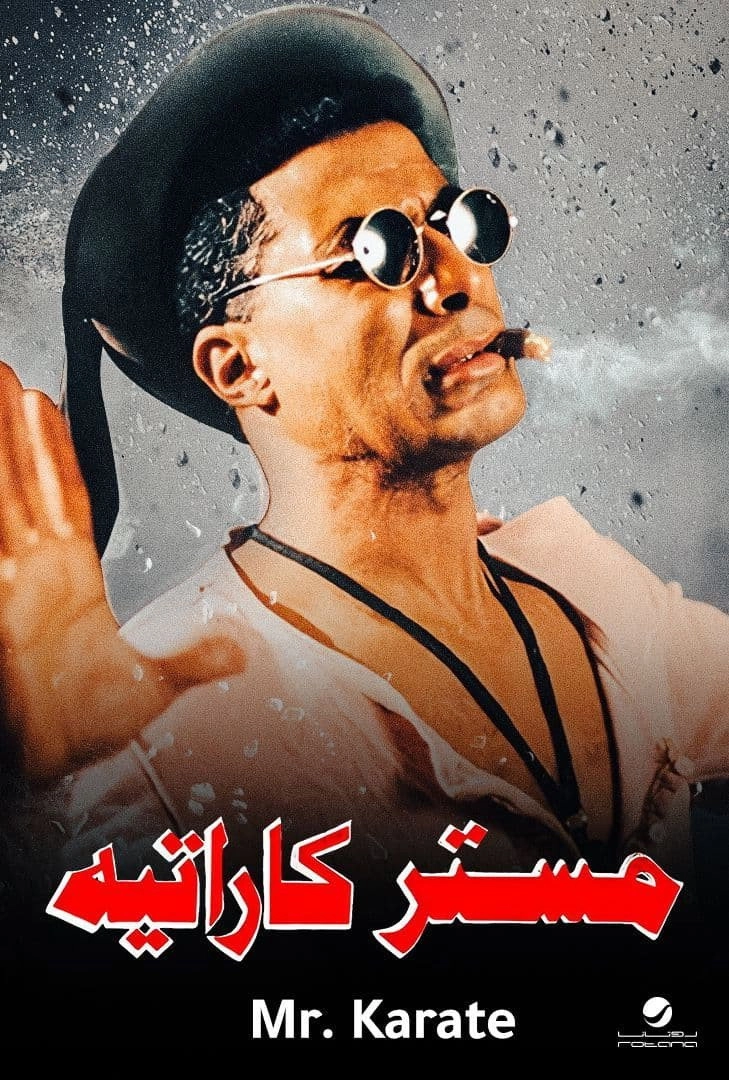 Mr. Karate