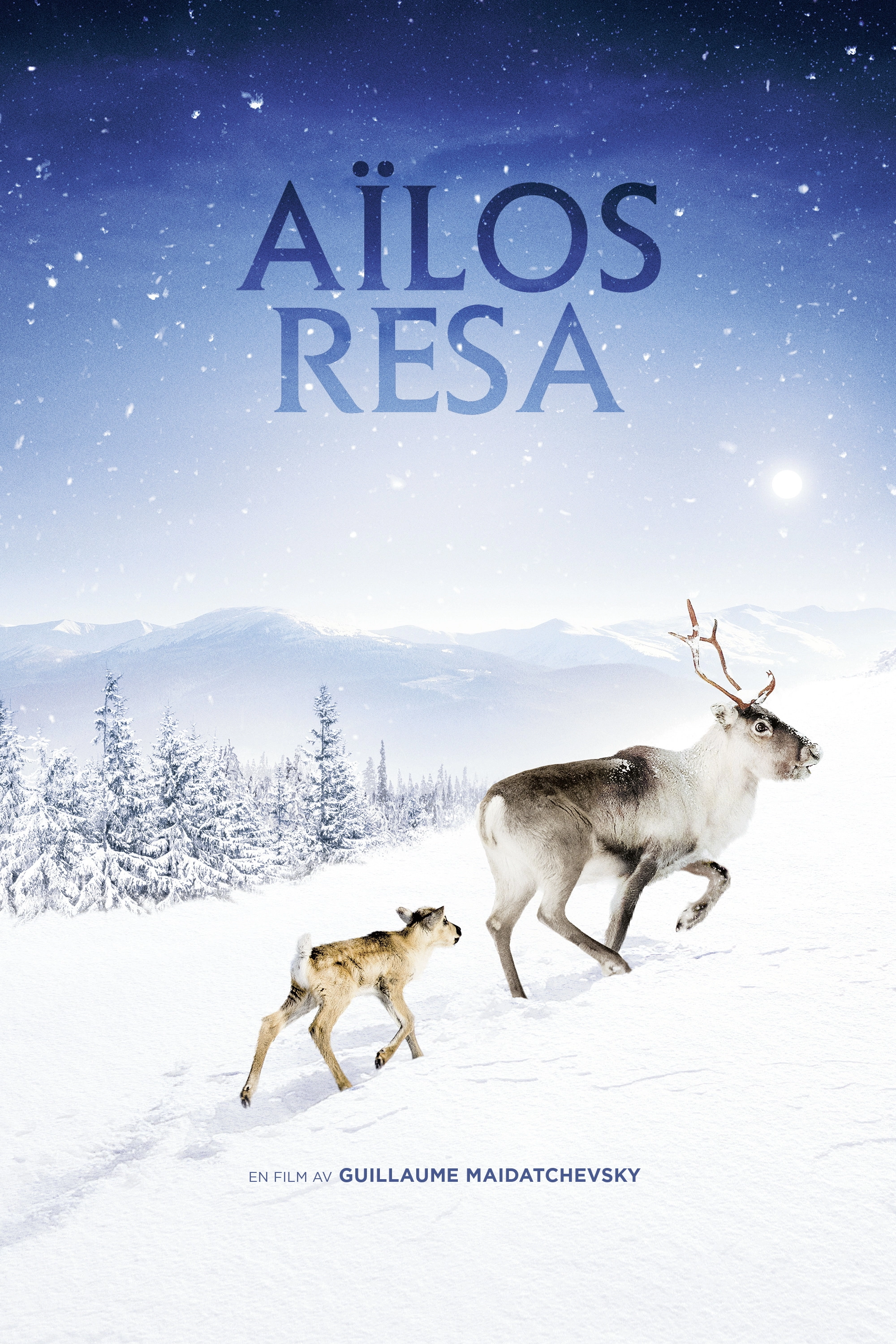 A Reindeer's Journey