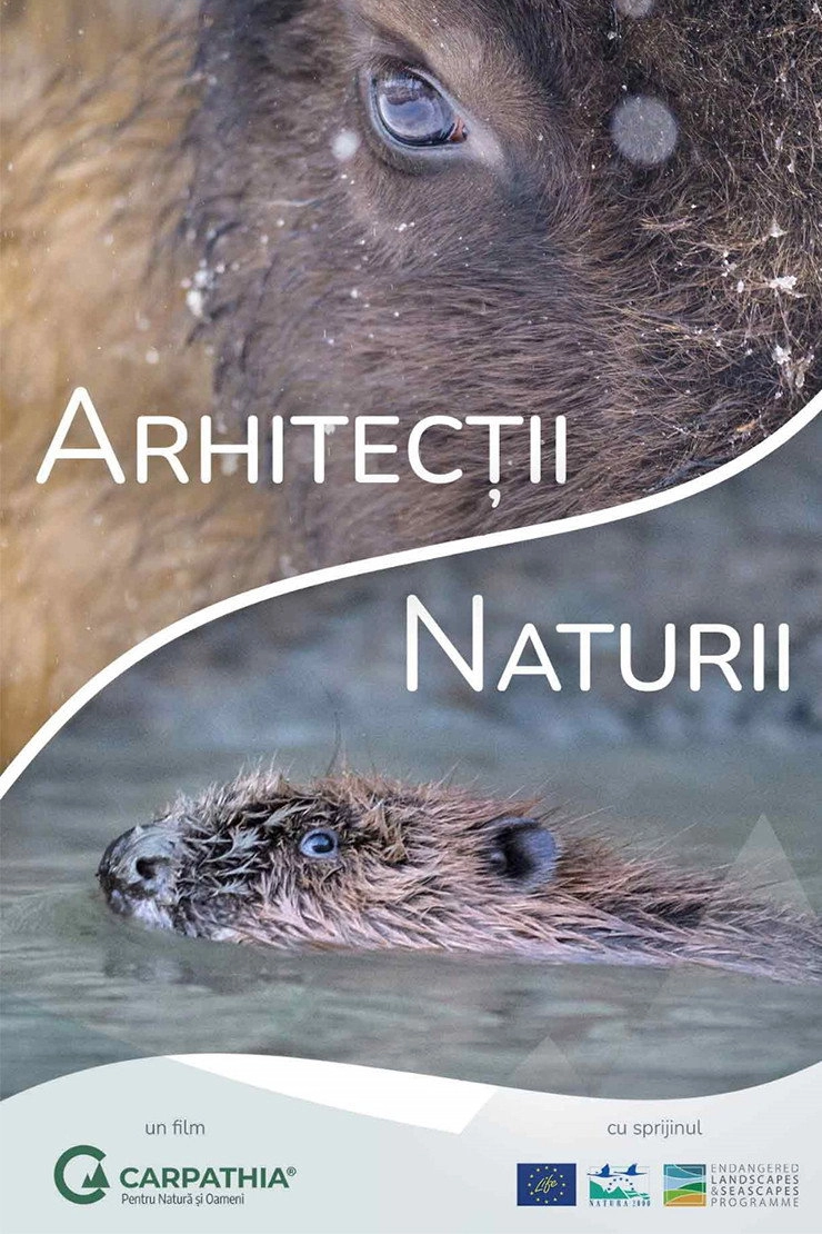 Nature's Architects