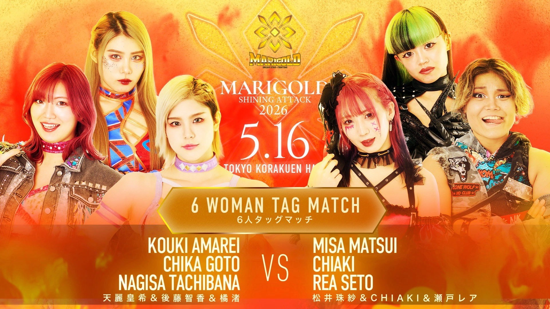 Marigold Shining Attack 2026 ~ Day 7