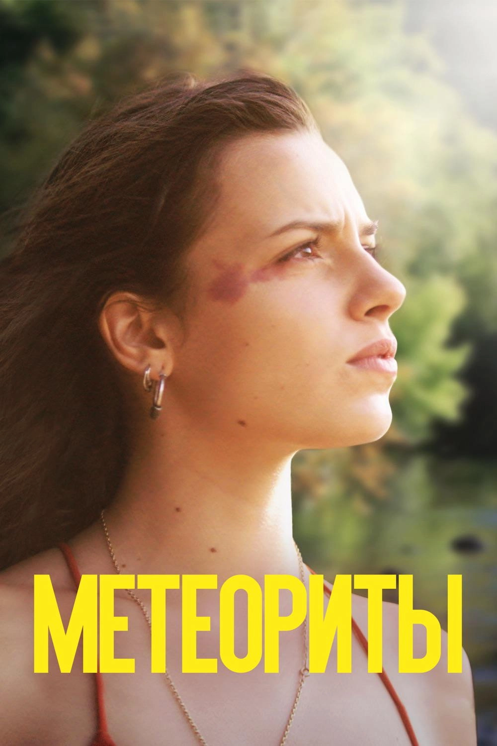 Meteorites