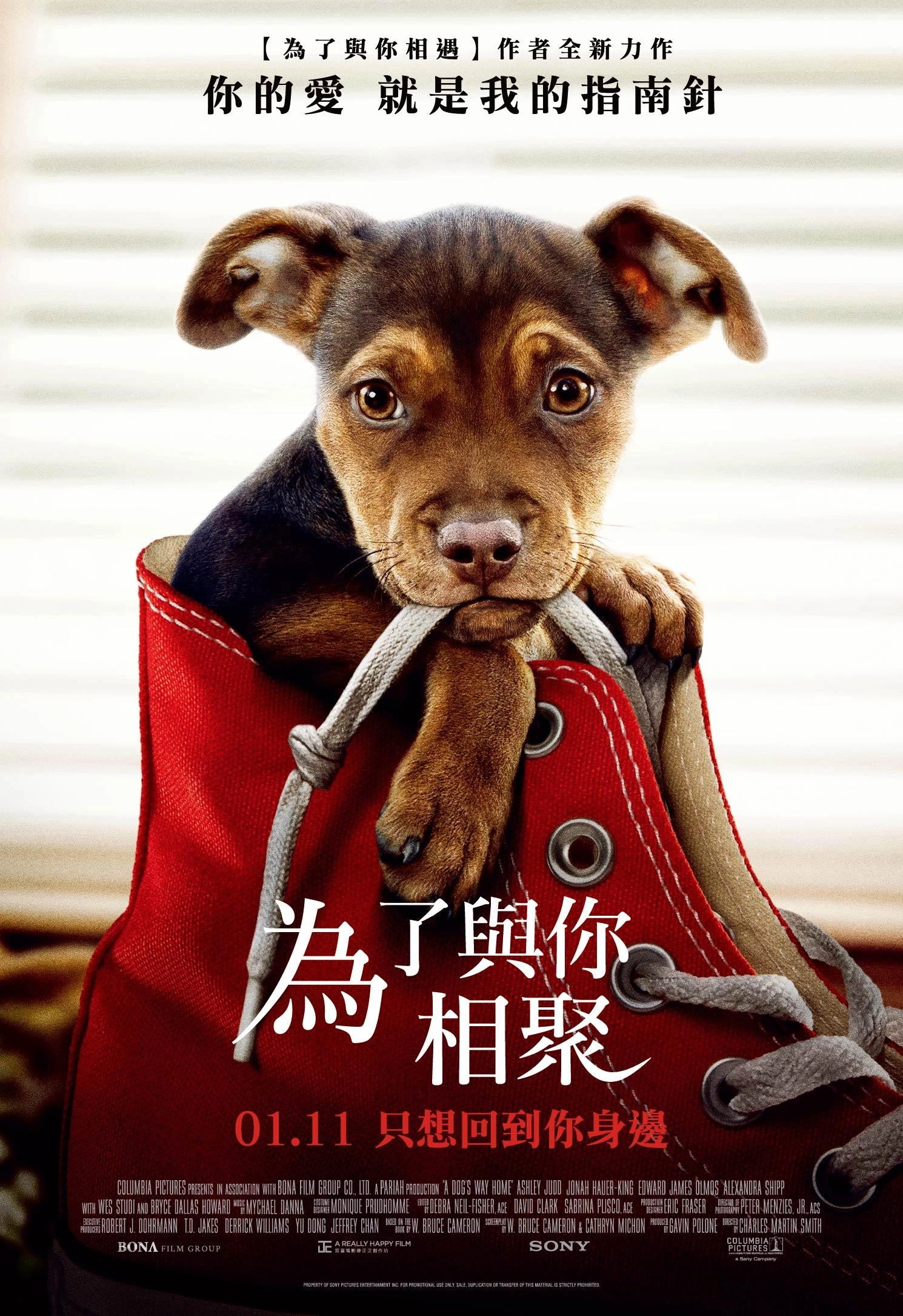 A Dog's Way Home