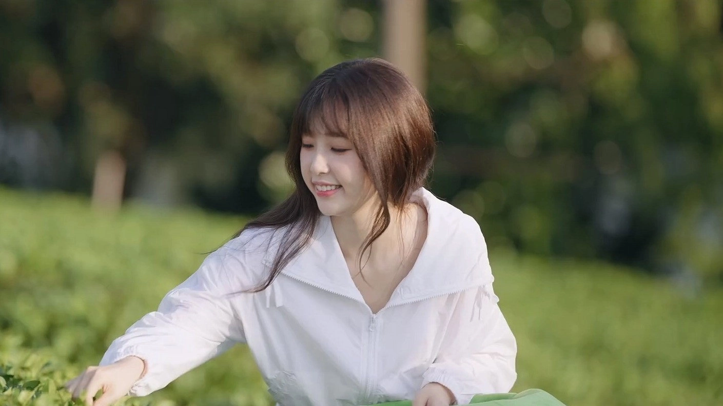 A Romance of the Little Forest