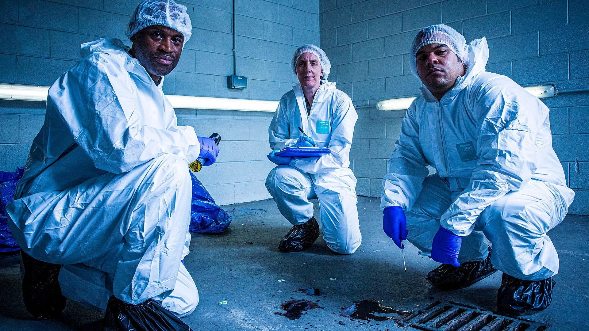Forensics: The Real CSI
