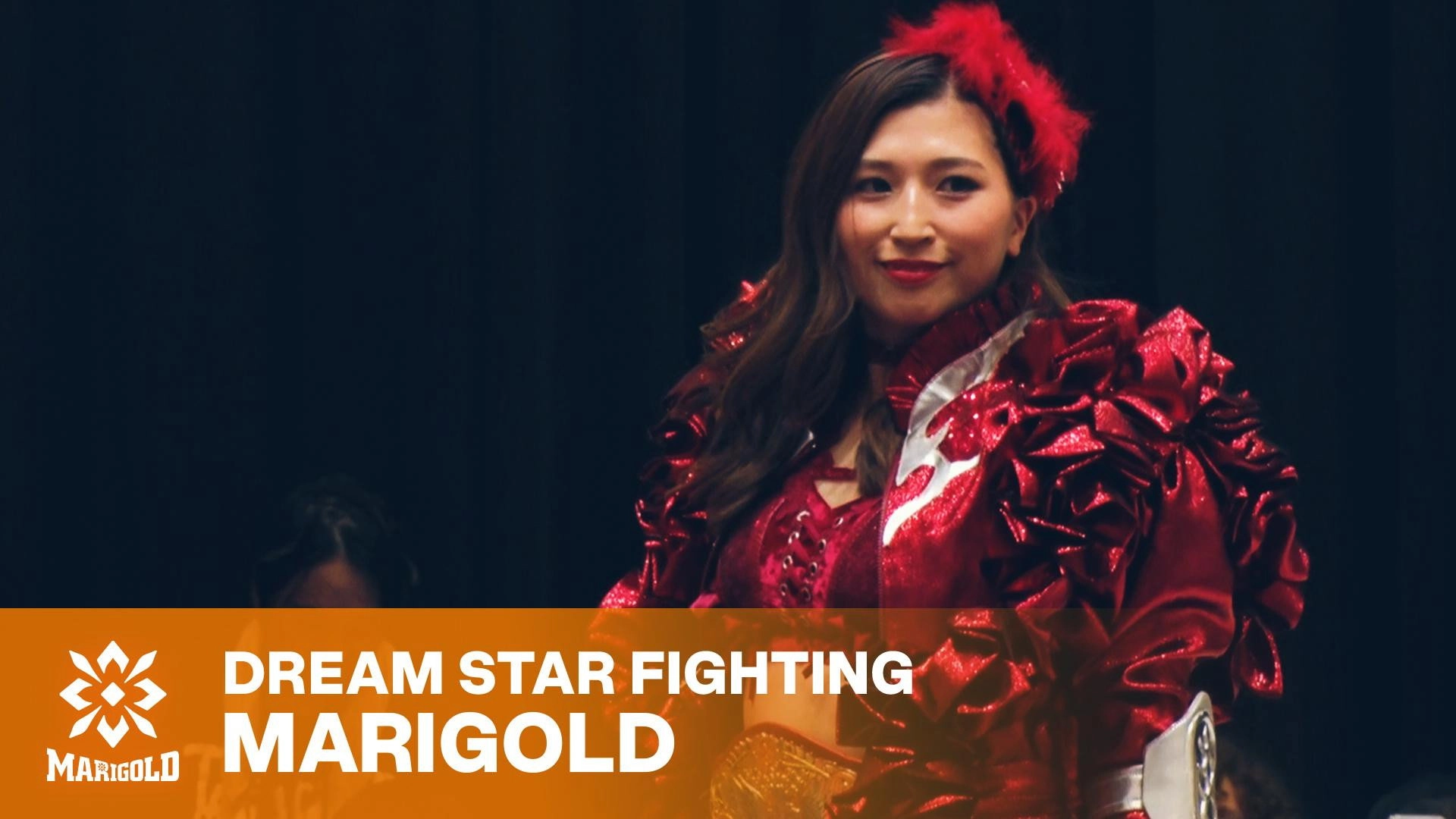Marigold Shining Attack 2026 ~ Day 10