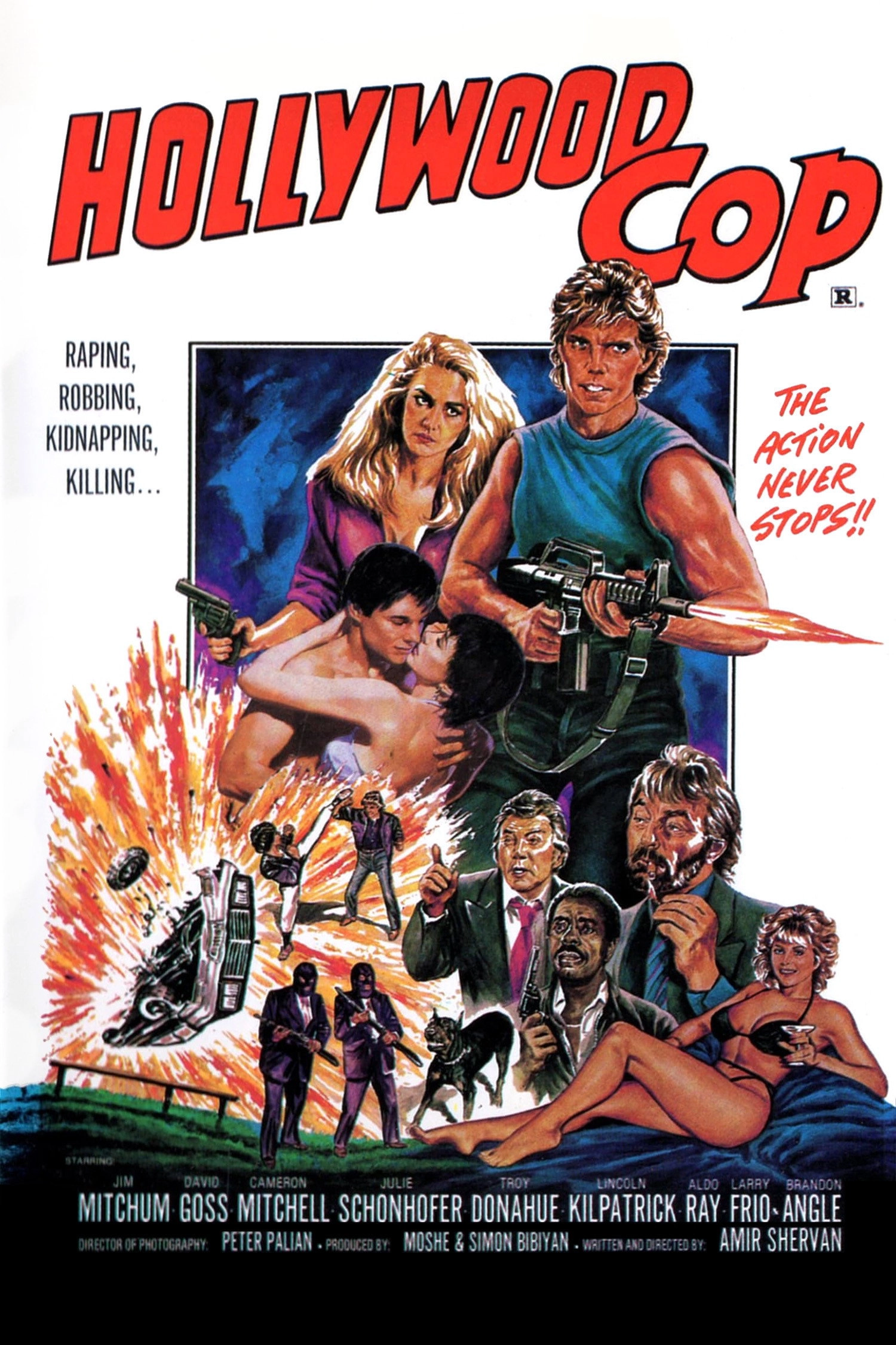 Hollywood Cop