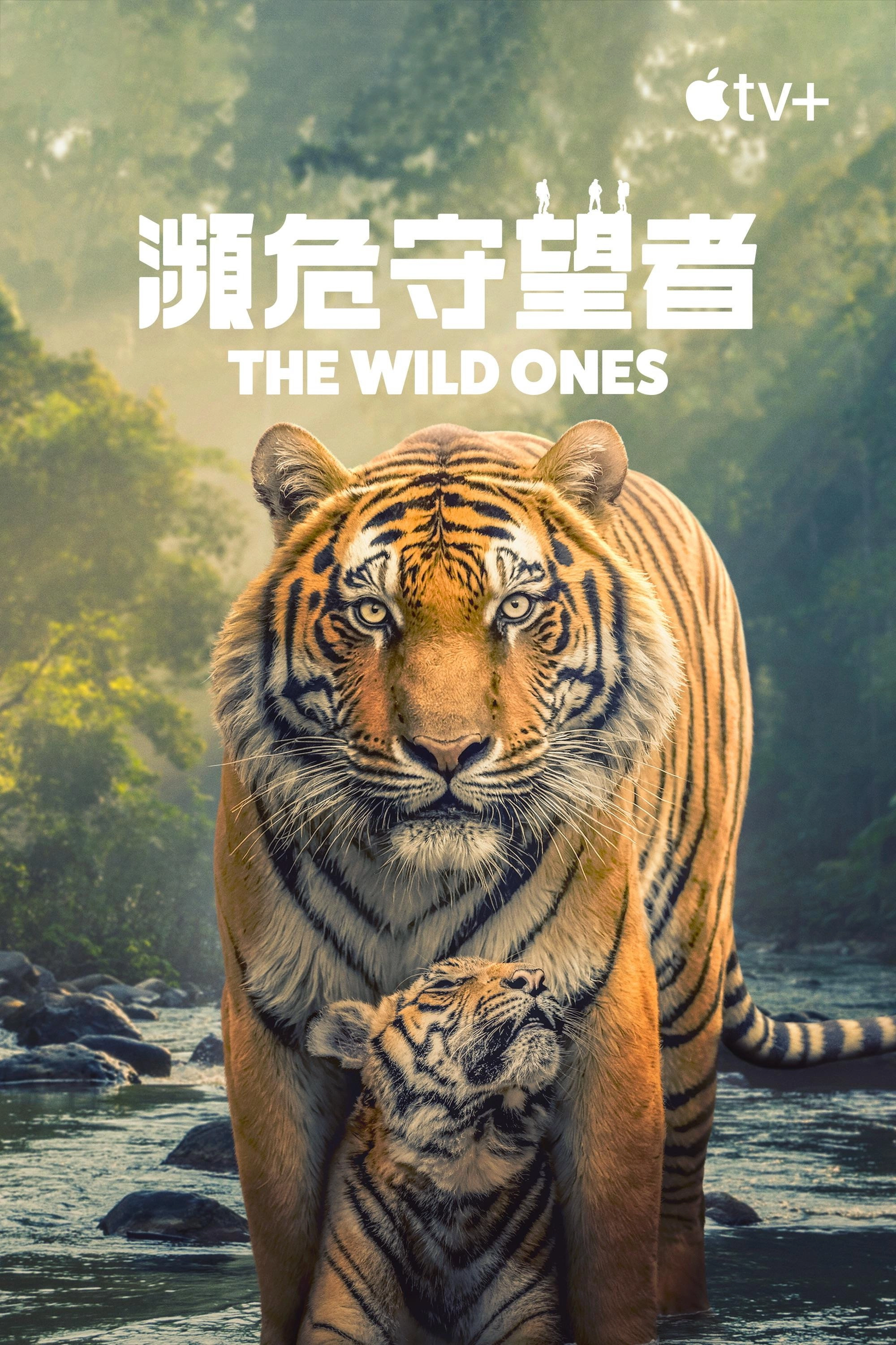 The Wild Ones