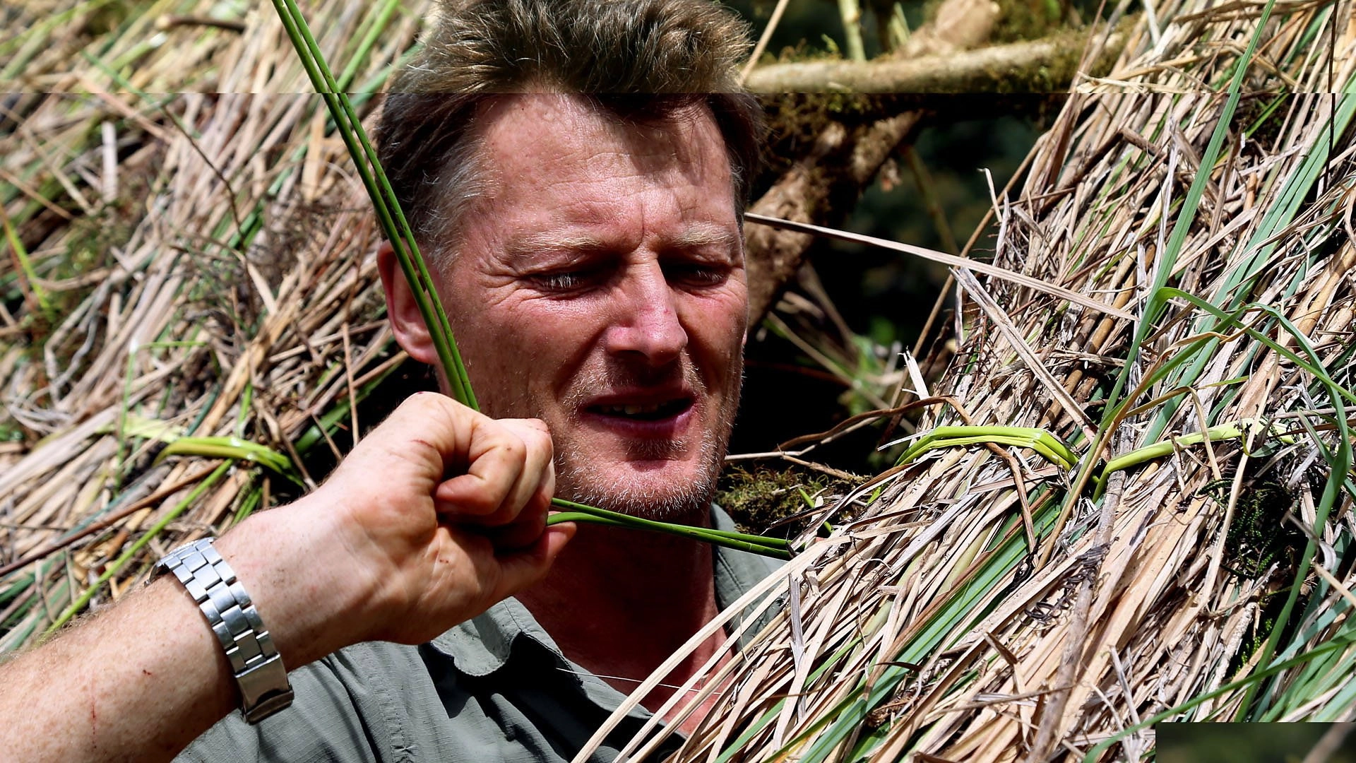 Birds of Paradise: The Ultimate Quest